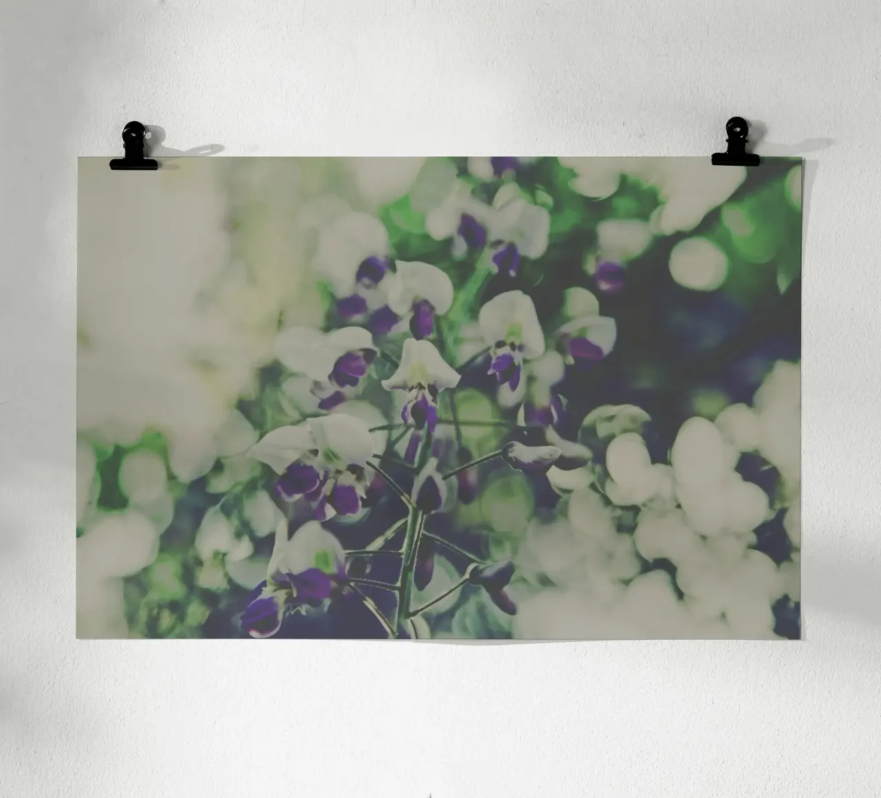 Fiori tenui poster da PhotoVibe Decor