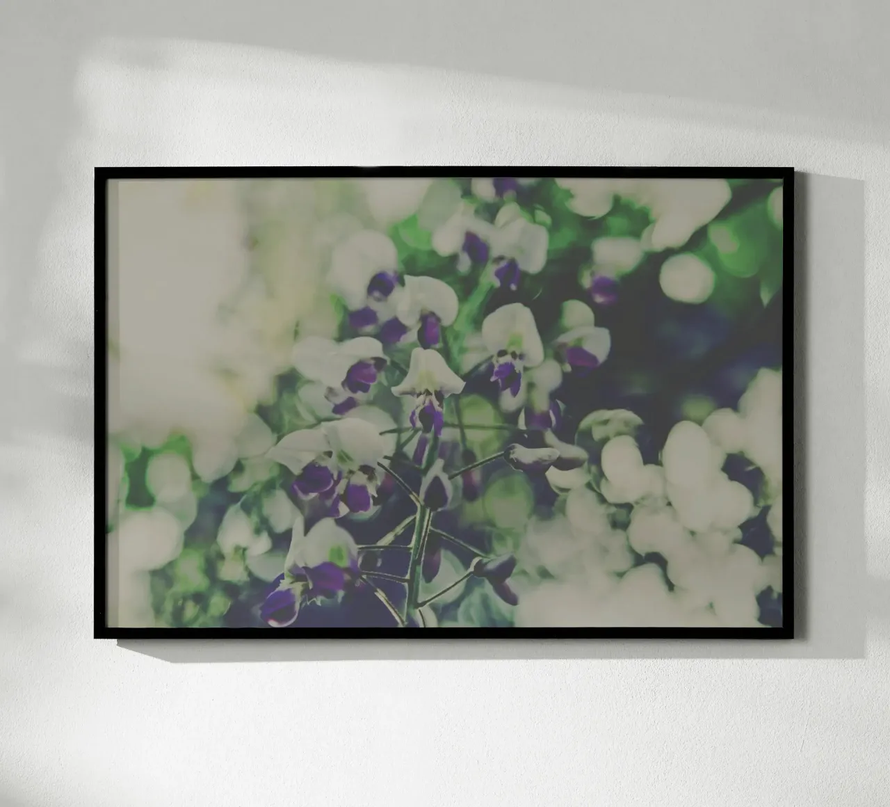 Fiori tenui poster da PhotoVibe Decor