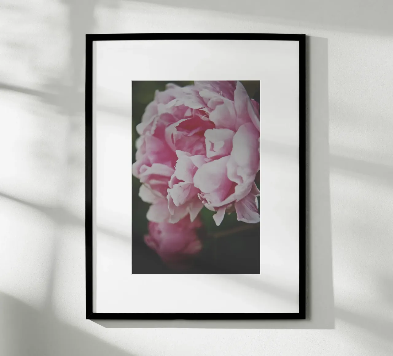 Fiori tenui poster da PhotoVibe Decor