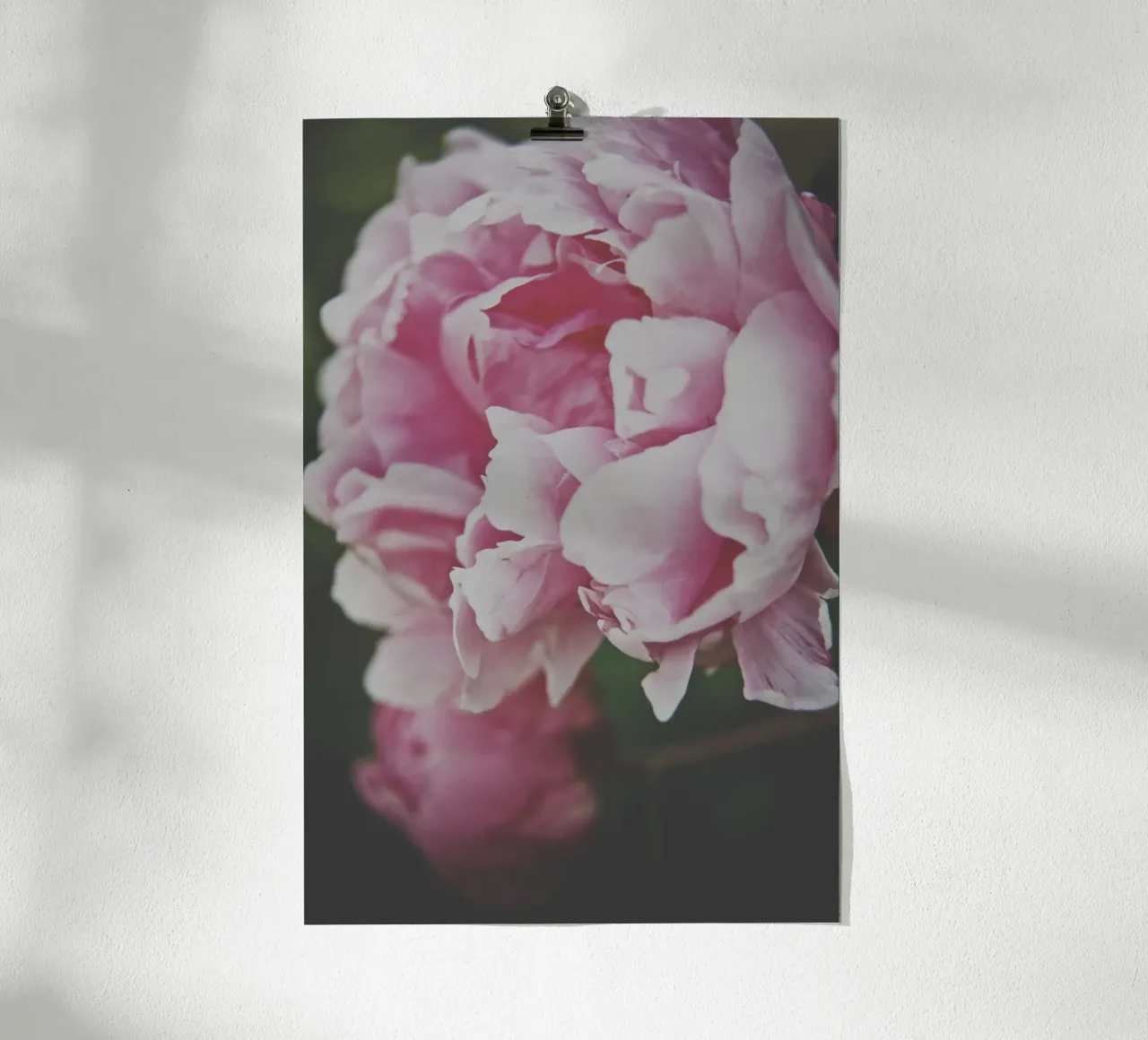 Fiori tenui poster da PhotoVibe Decor