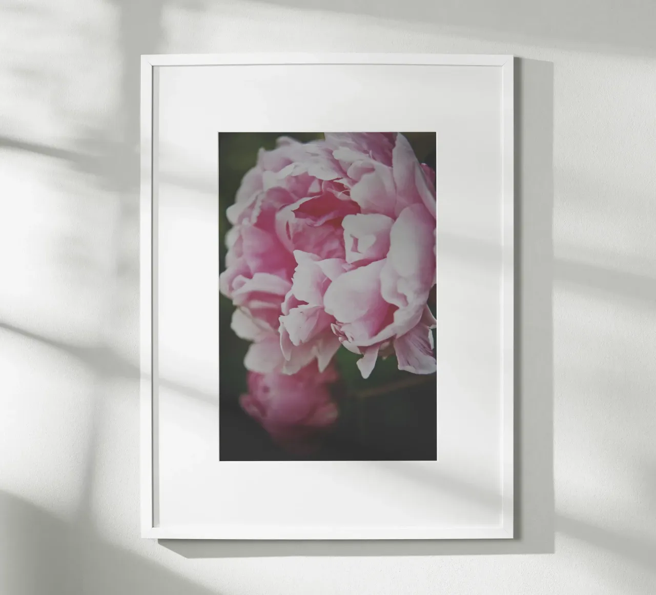 Fiori tenui poster da PhotoVibe Decor