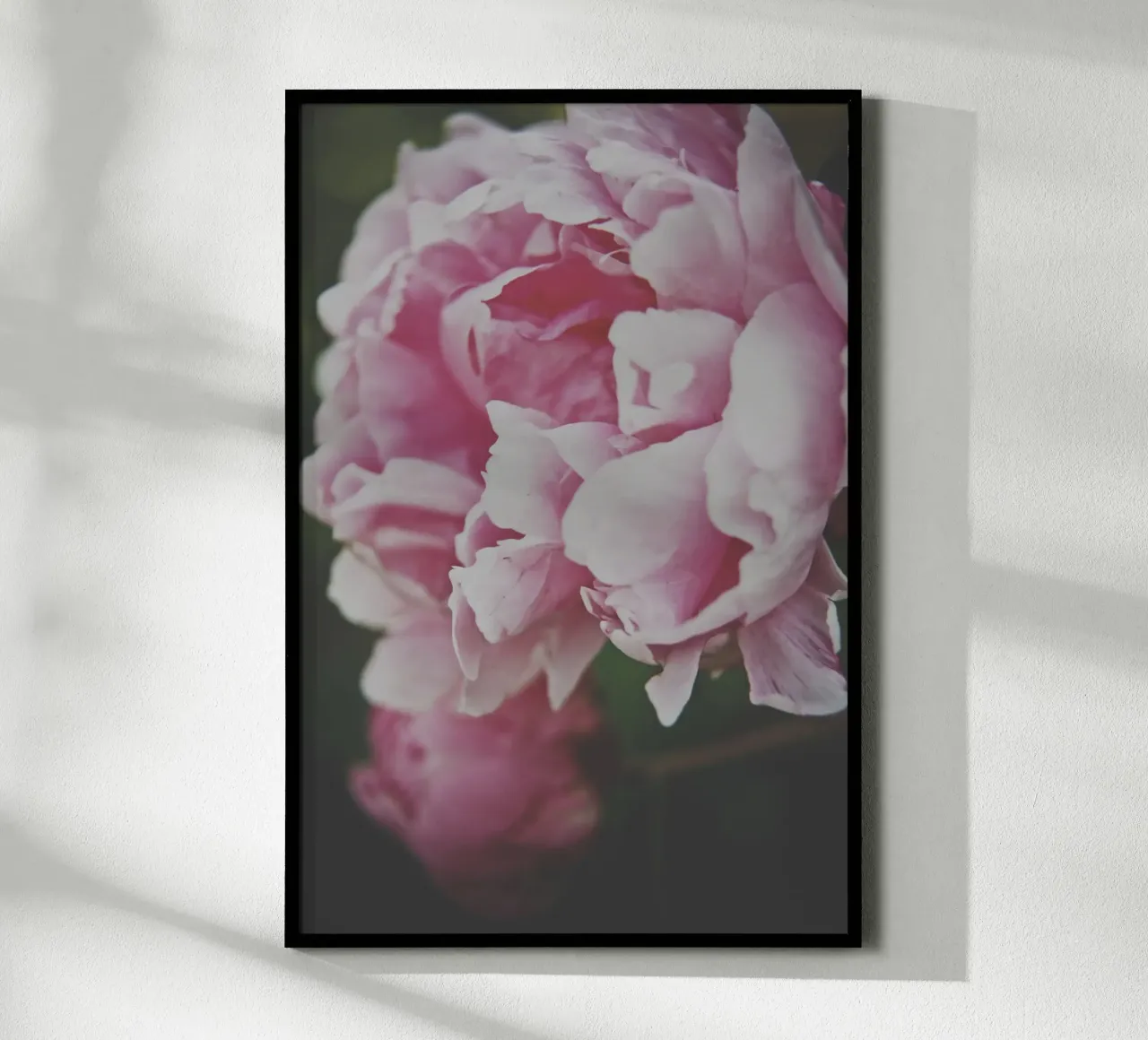 Fiori tenui poster da PhotoVibe Decor