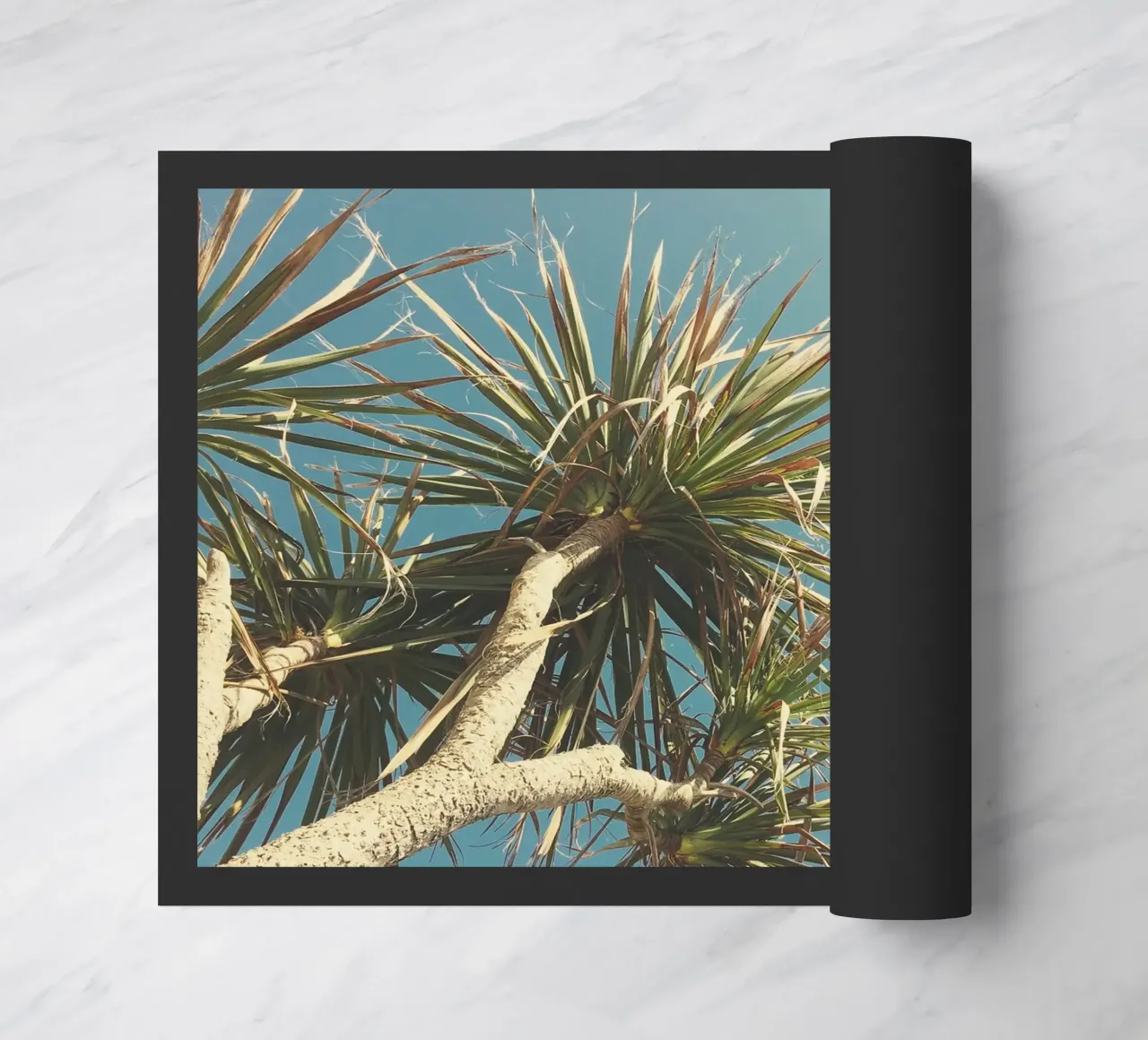 Spring Palm doormat by Cassia Beck Photography
