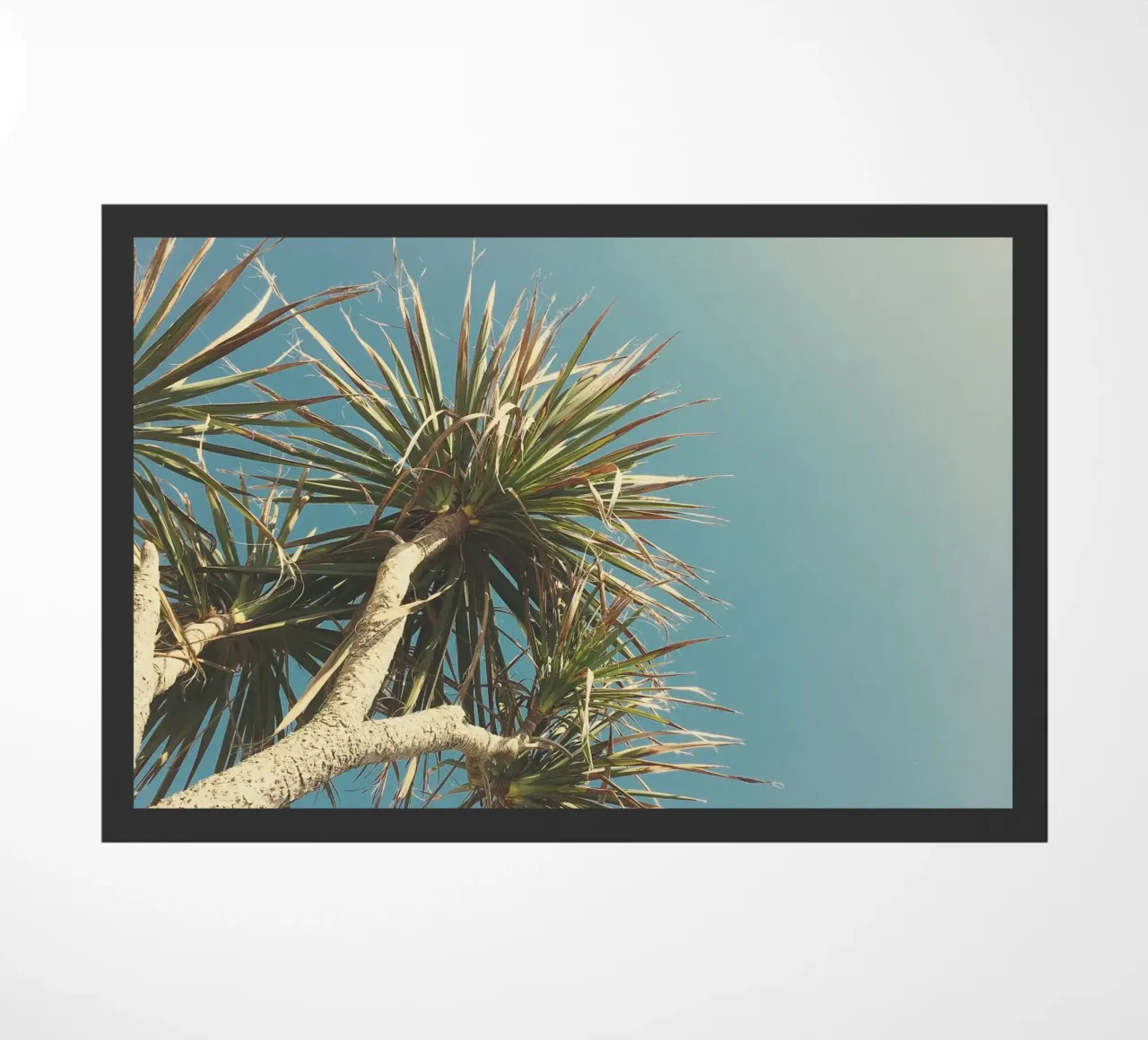 Spring Palm doormat by Cassia Beck Photography