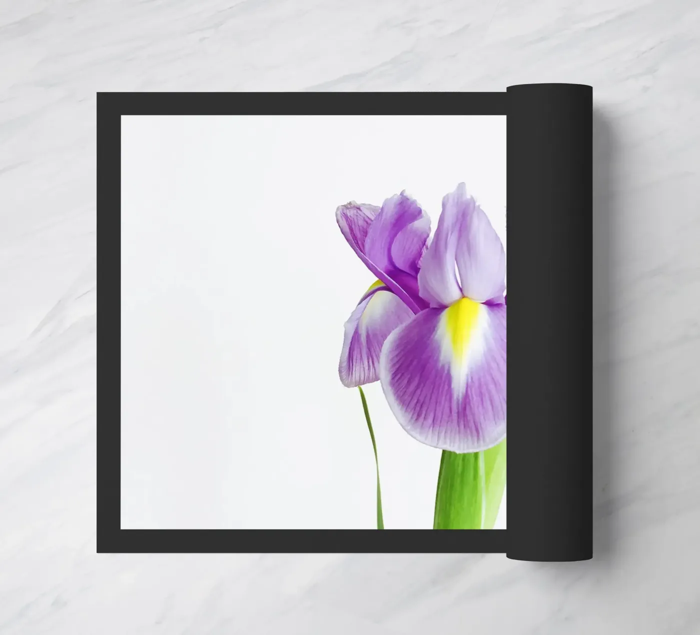 Iris paillasson de Cassia Beck Photography