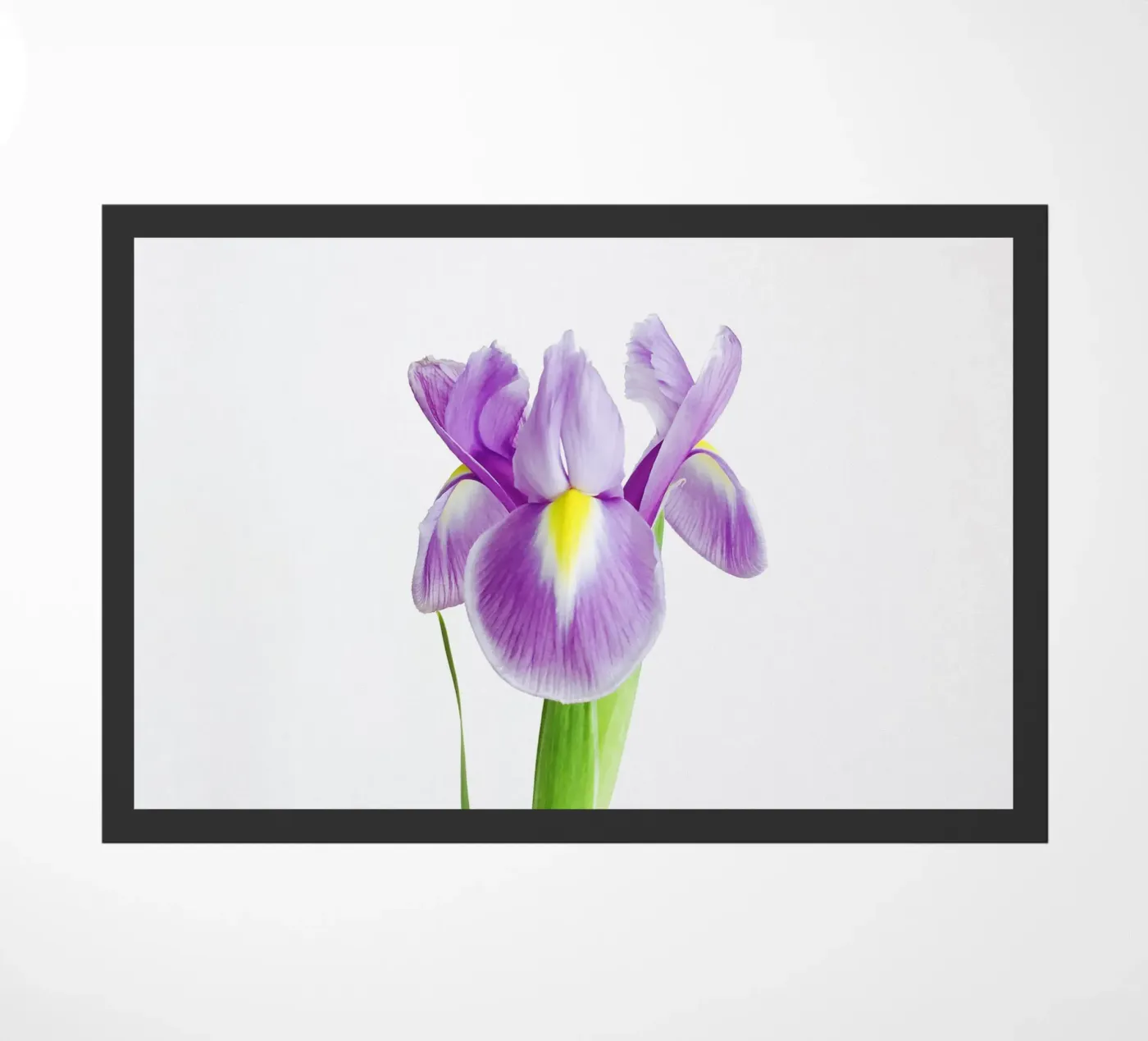 Iris paillasson de Cassia Beck Photography