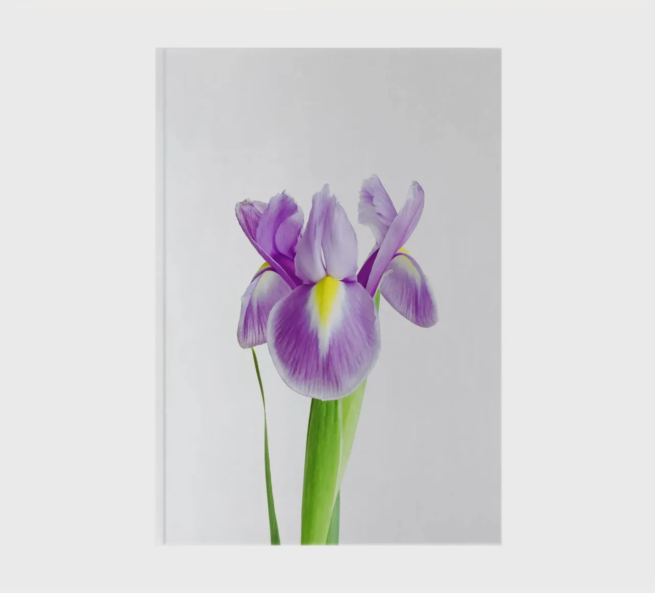 Iris notebook by Cassia Beck Photography