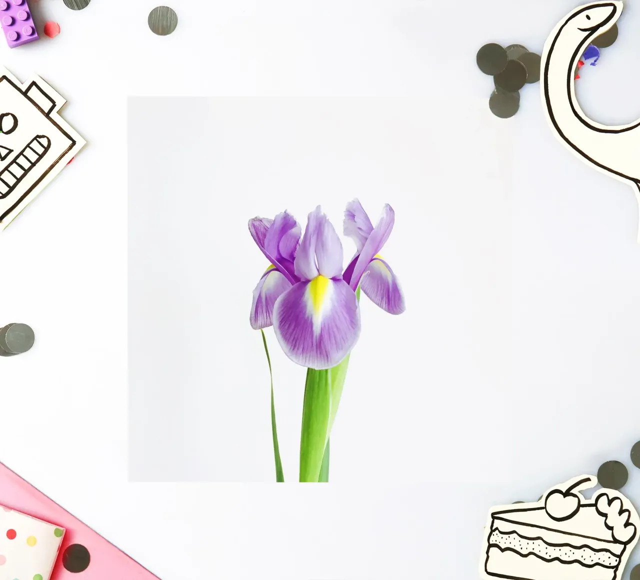 Iris Sticker von Cassia Beck Photography