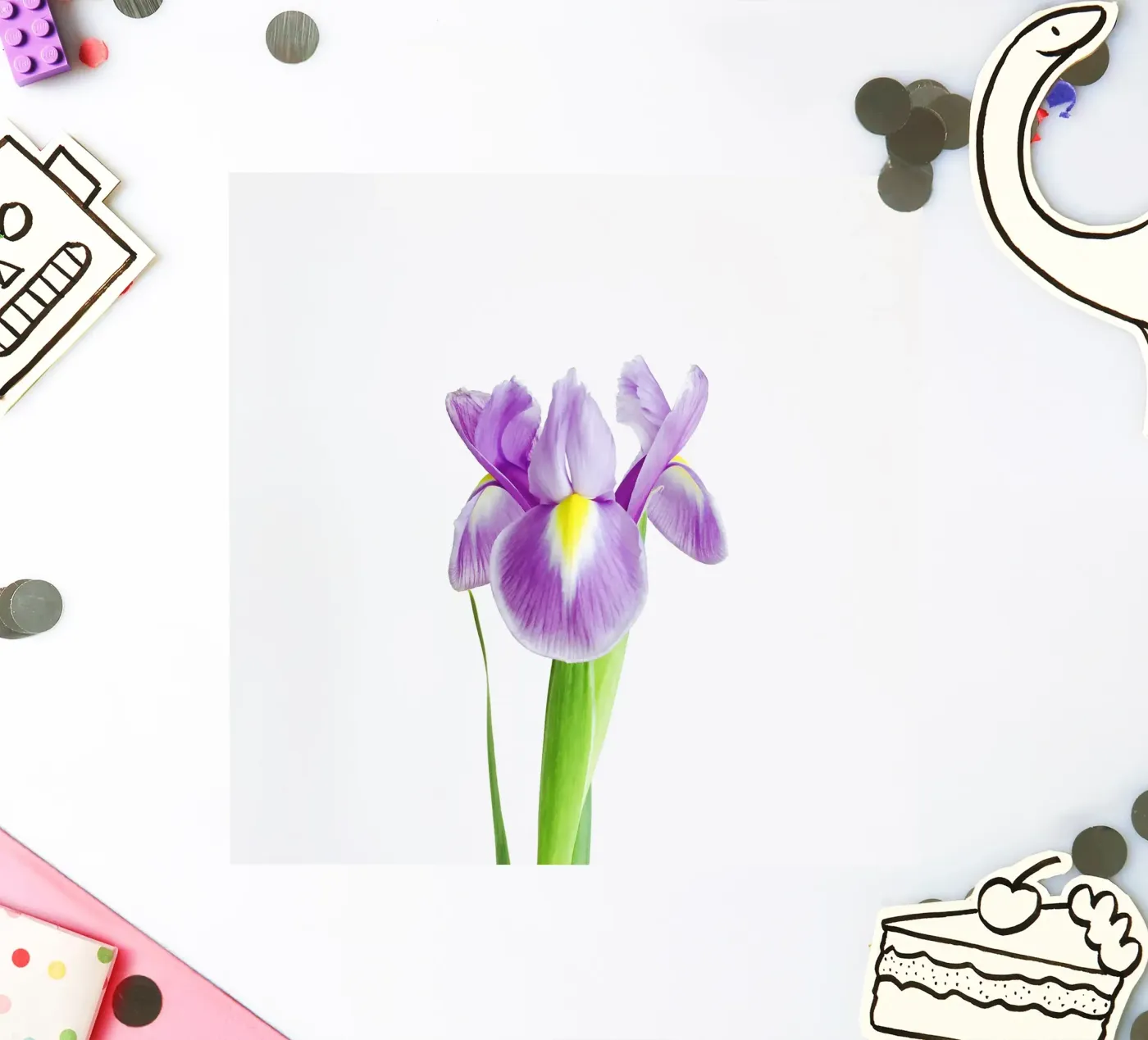 Iris Sticker von Cassia Beck Photography