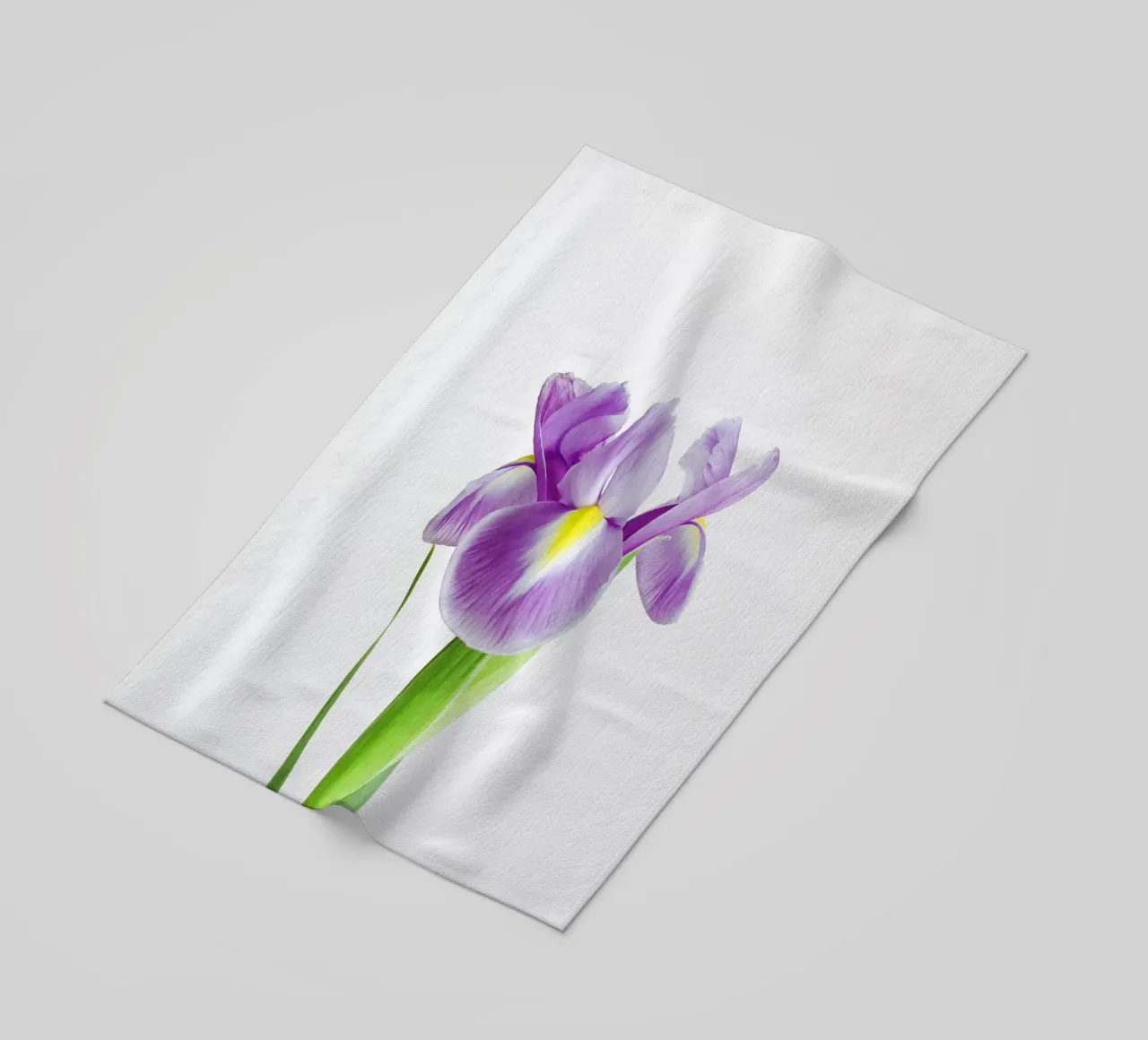 Iris telo mare da Cassia Beck Photography