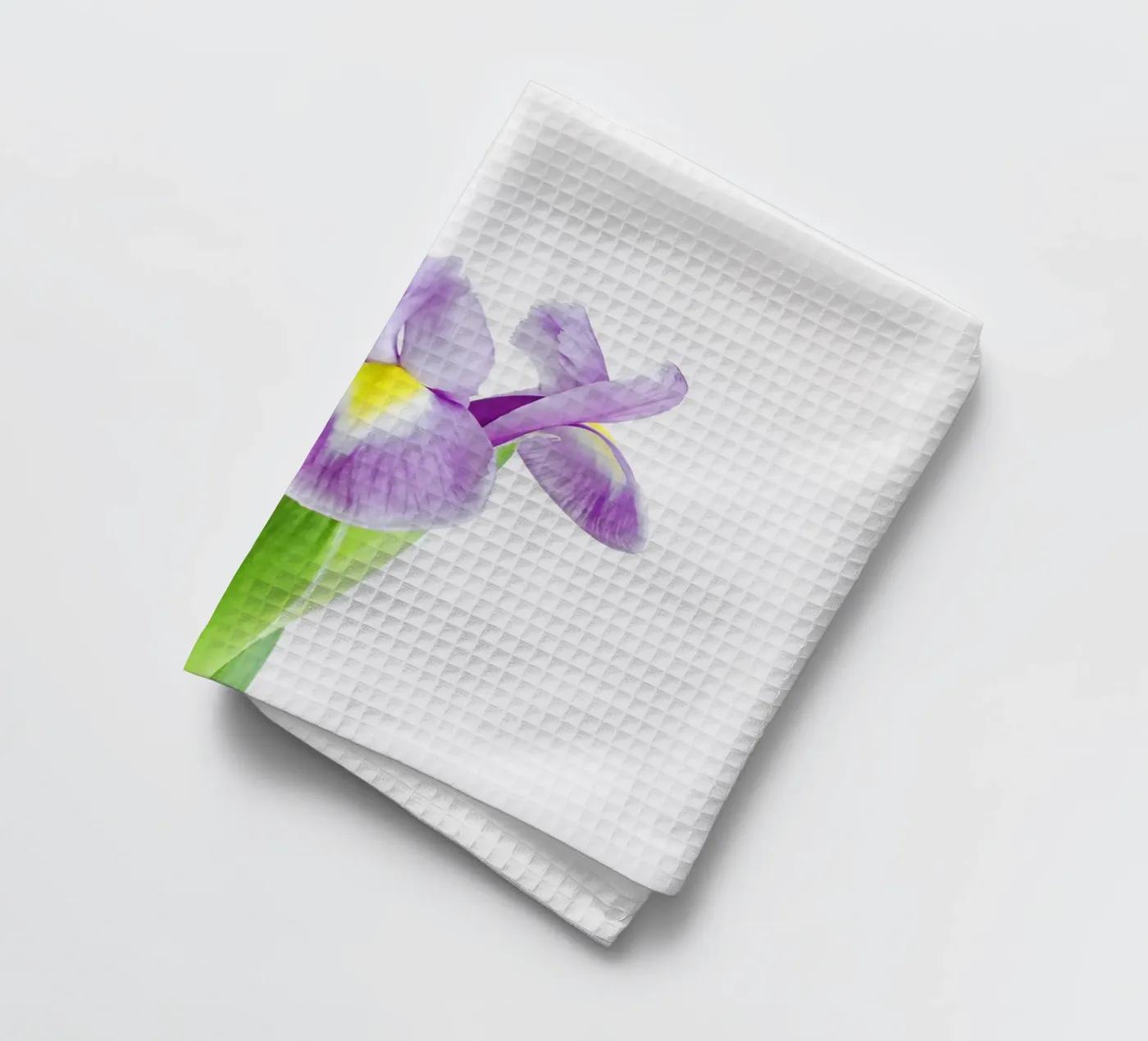 Iris torchon de Cassia Beck Photography