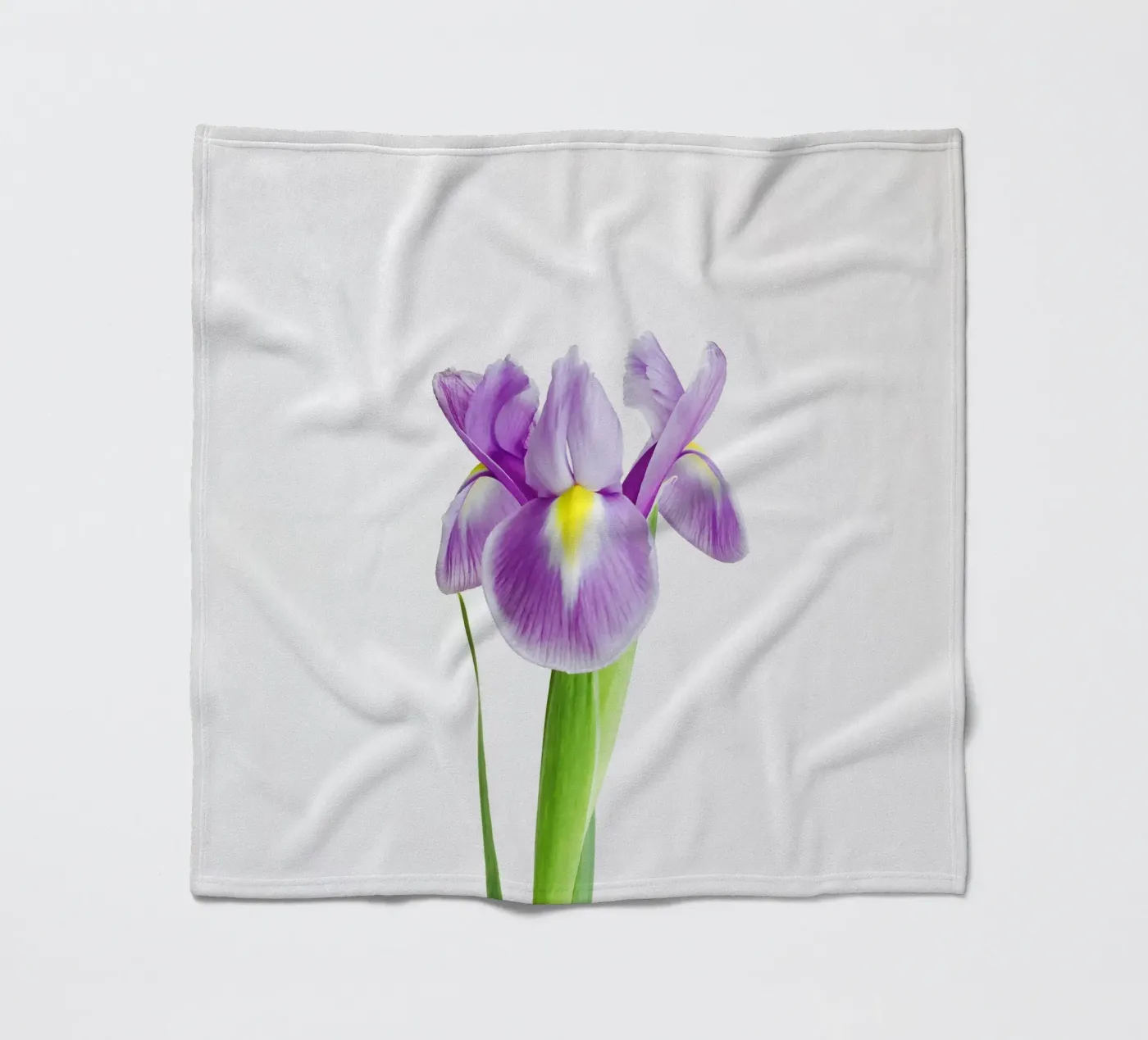 Iris coperta in pile da Cassia Beck Photography