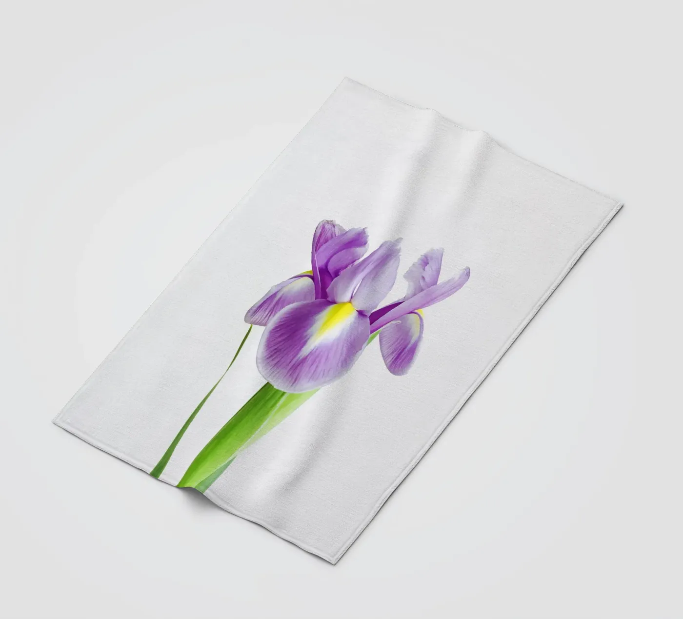 Iris coperta in pile da Cassia Beck Photography