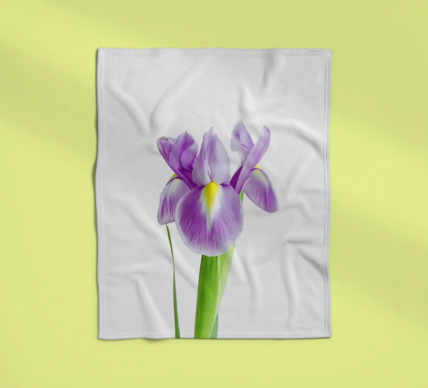 Iris coperta in pile da Cassia Beck Photography