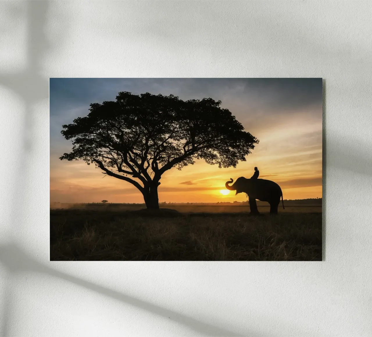 Elephant at Dusk acrylic glass by PhotoVibe Decor