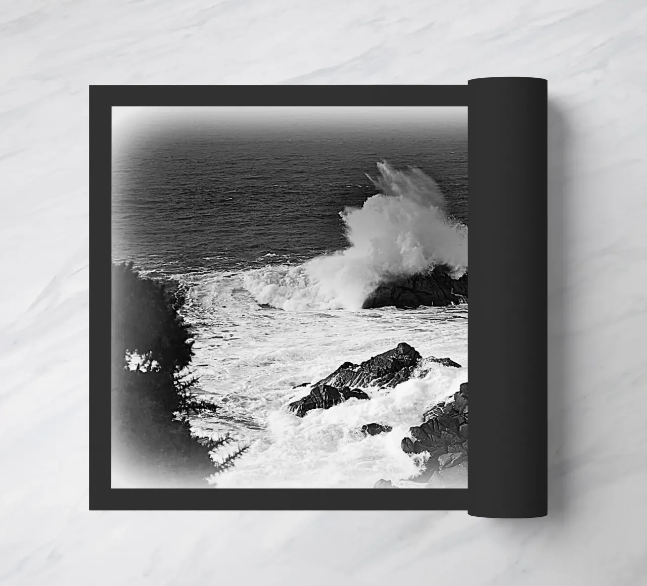 BW76 zerbino da Thierry vobmann photography