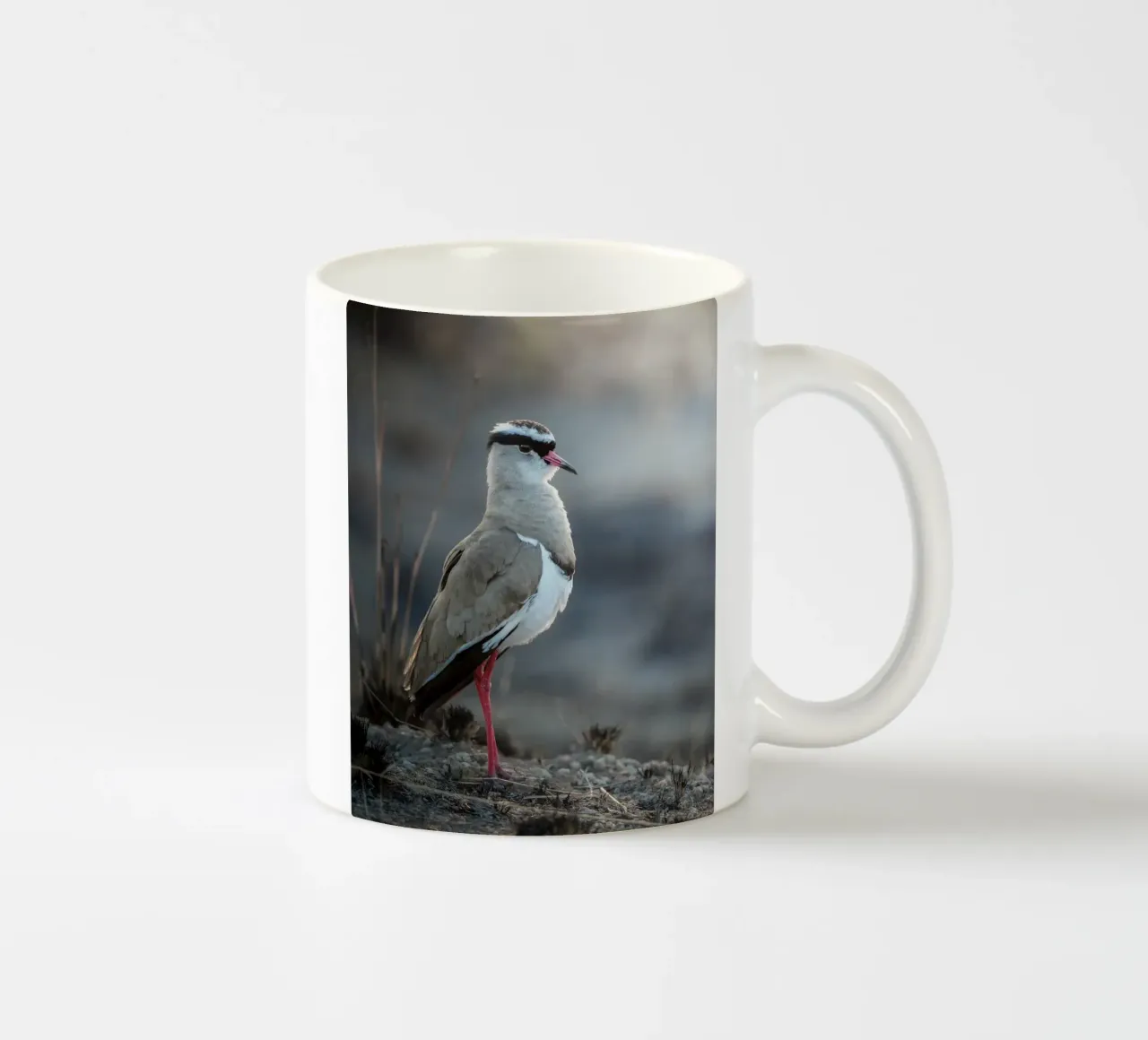 Kievit tazza in ceramica da Tom's Wildlife