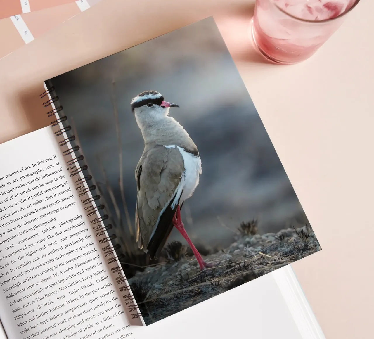 Kievit spiral notebook by Tom's Wildlife