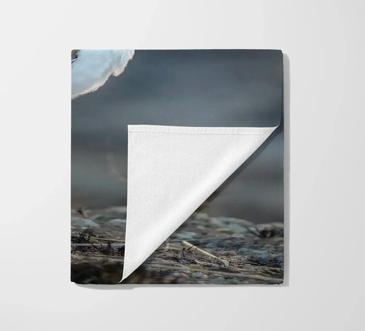 Kievit telo mare da Tom's Wildlife