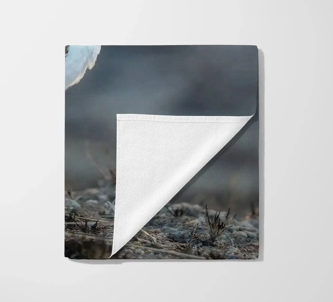 Kievit telo mare da Tom's Wildlife