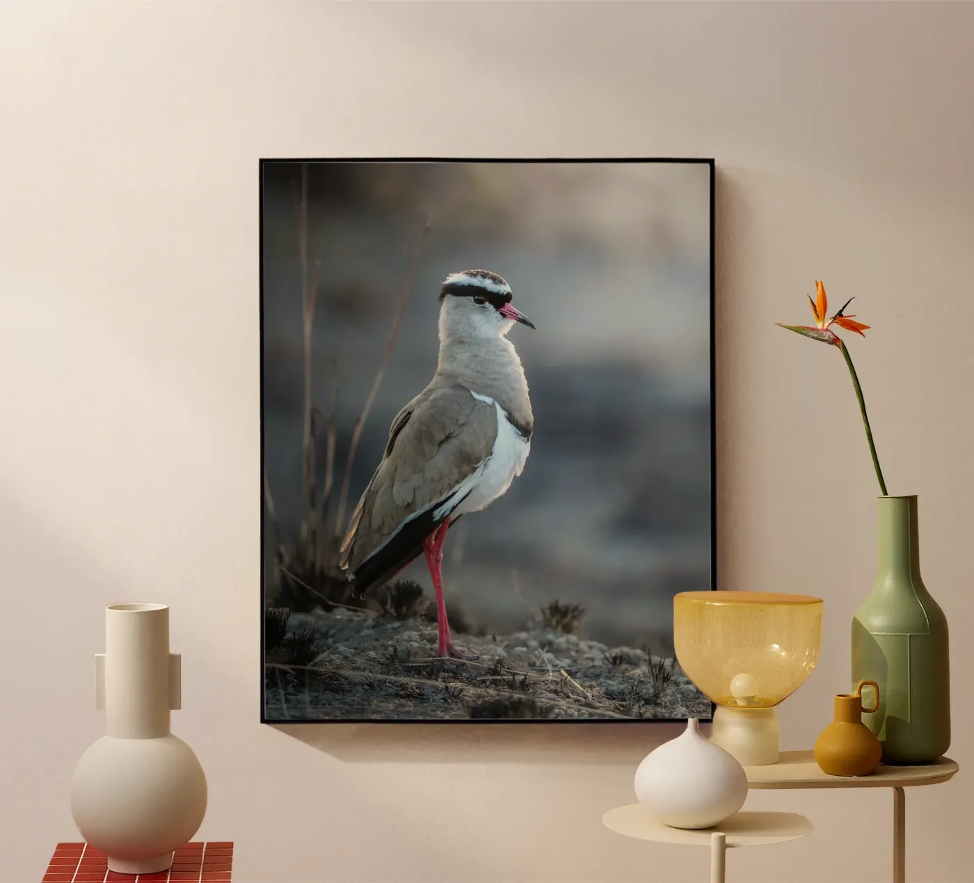 Kievit plexiglas de Tom's Wildlife