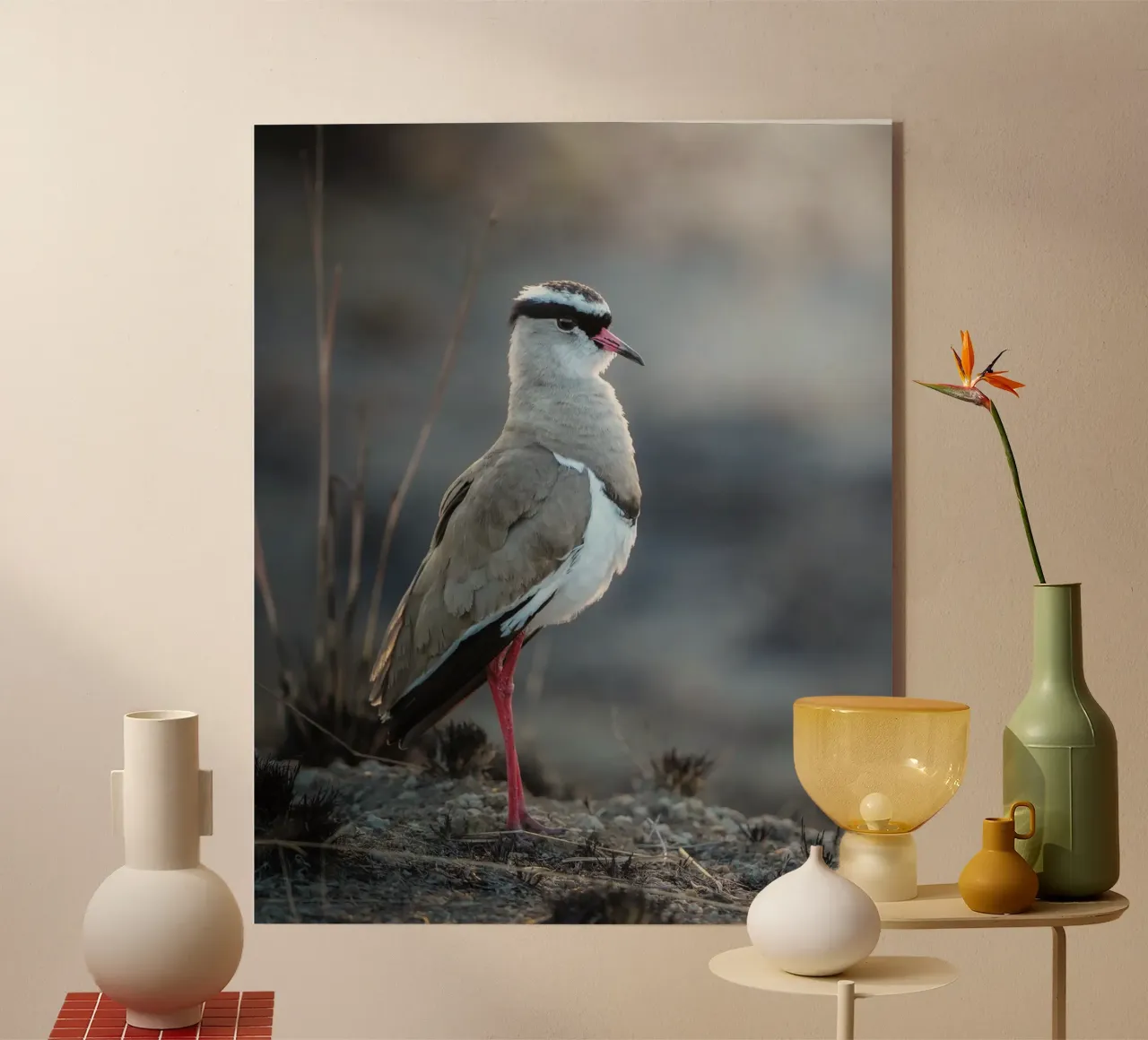 Kievit plexiglass da Tom's Wildlife