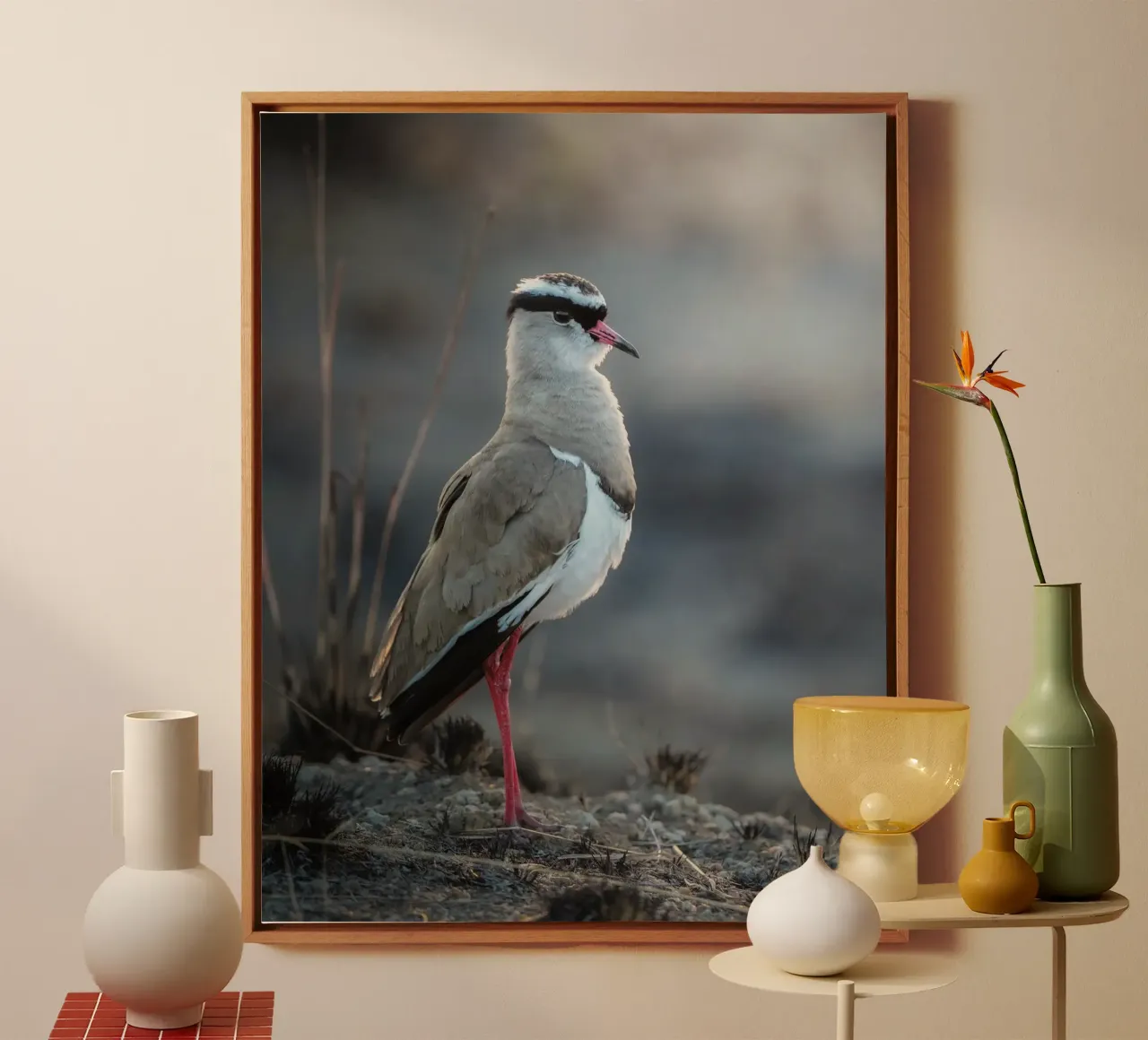 Kievit Leinwand mit Schattenfugenrahmen von Tom's Wildlife