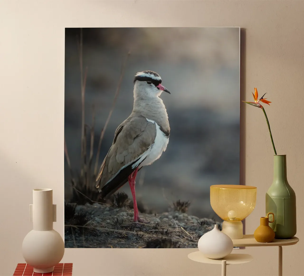 Kievit Leinwand mit Schattenfugenrahmen von Tom's Wildlife