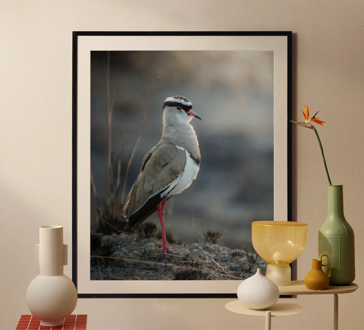 Kievit poster da Tom's Wildlife