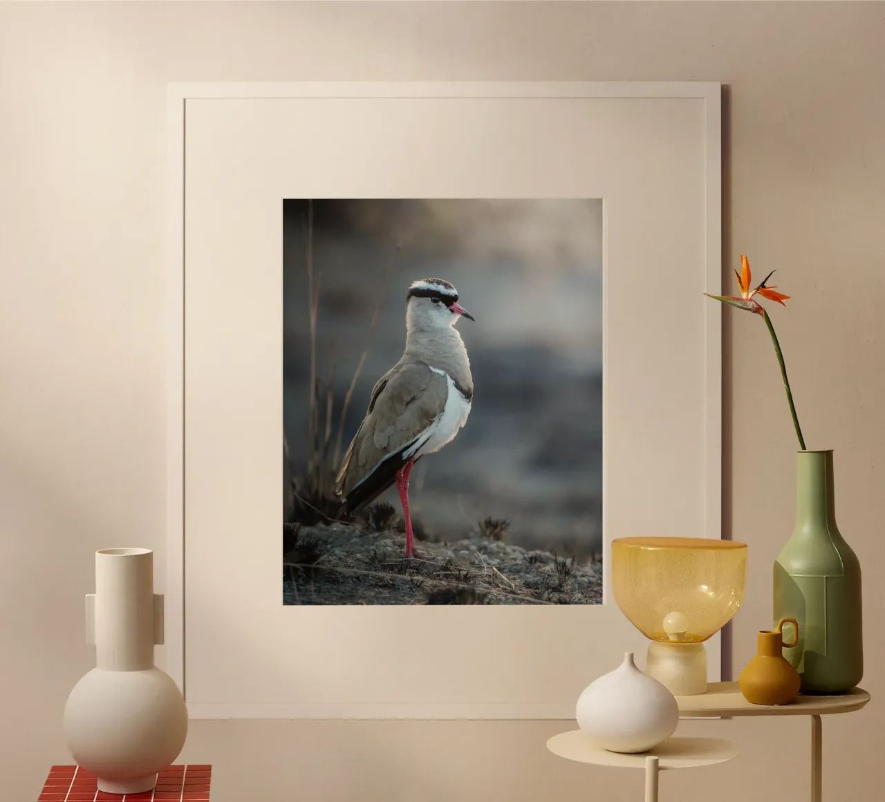 Kievit poster da Tom's Wildlife