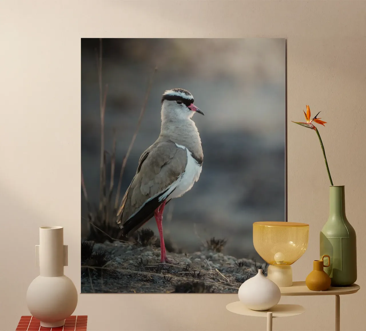 Kievit poster da Tom's Wildlife