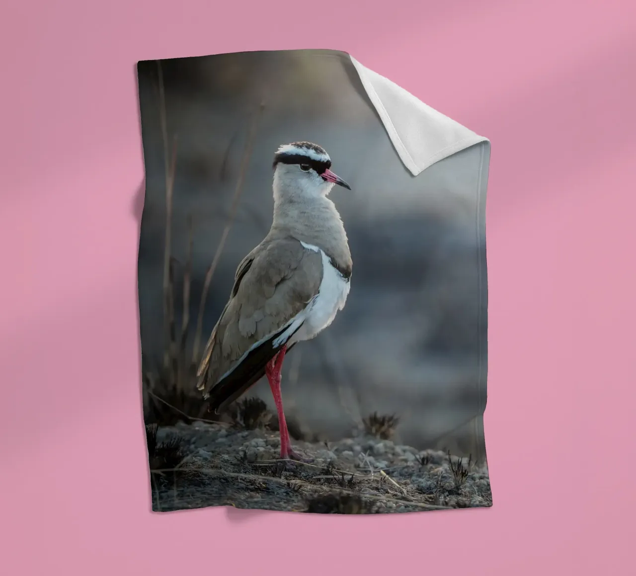 Kievit coperta in pile da Tom's Wildlife
