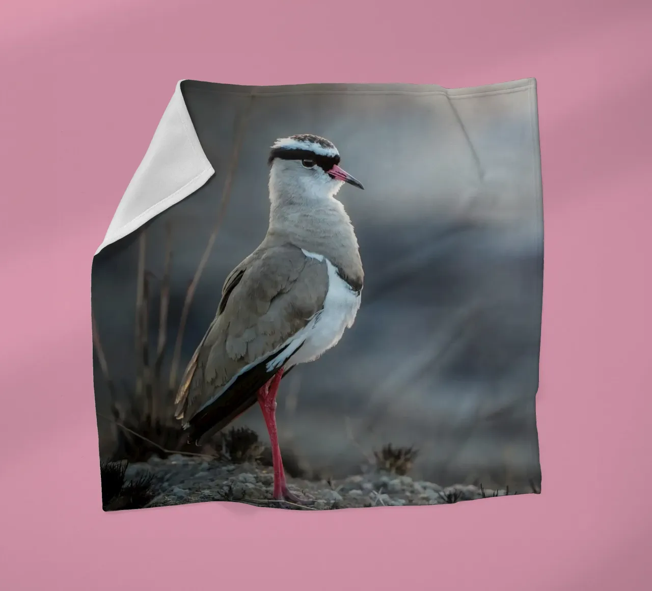 Kievit coperta in pile da Tom's Wildlife