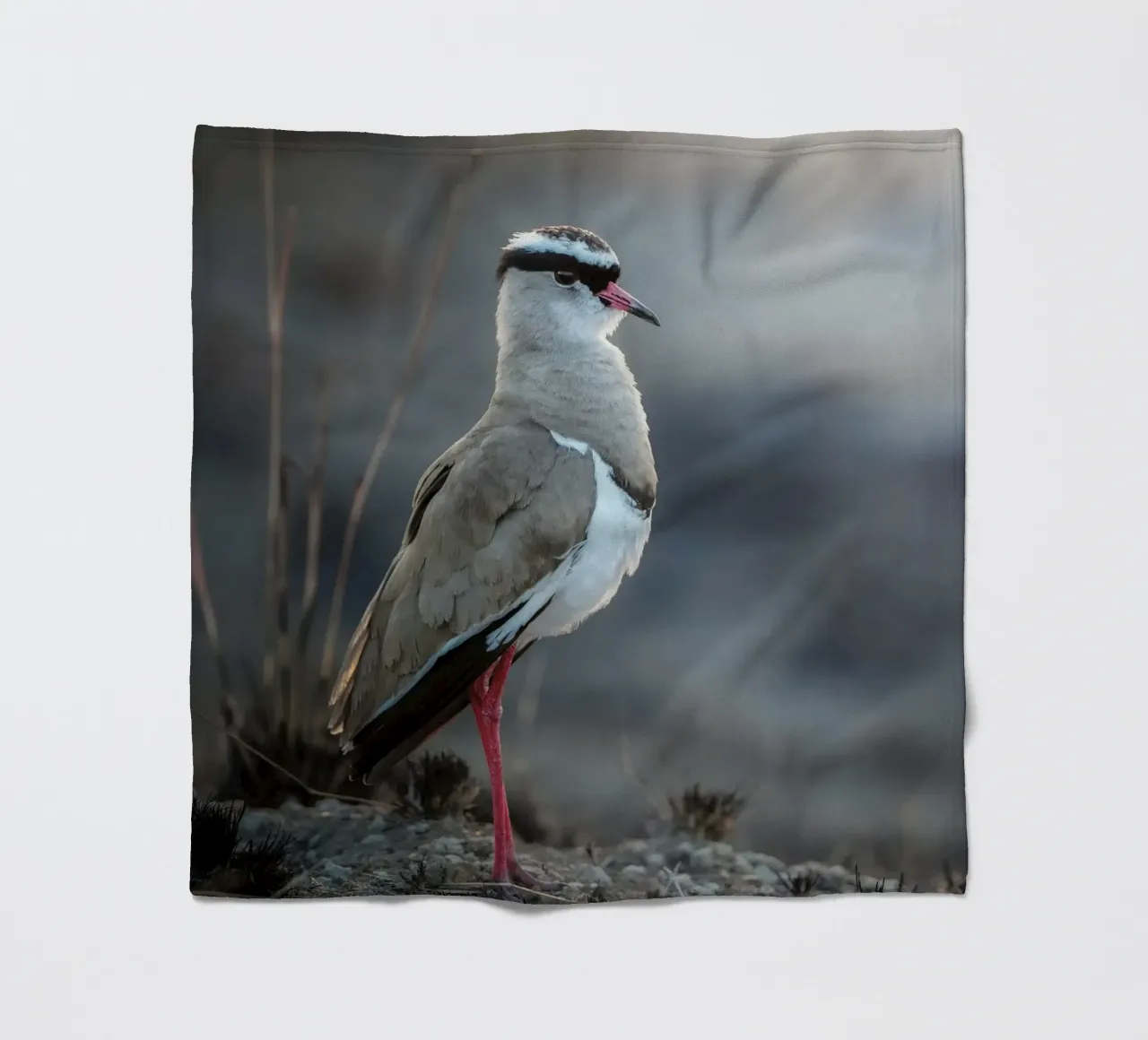 Kievit coperta in pile da Tom's Wildlife