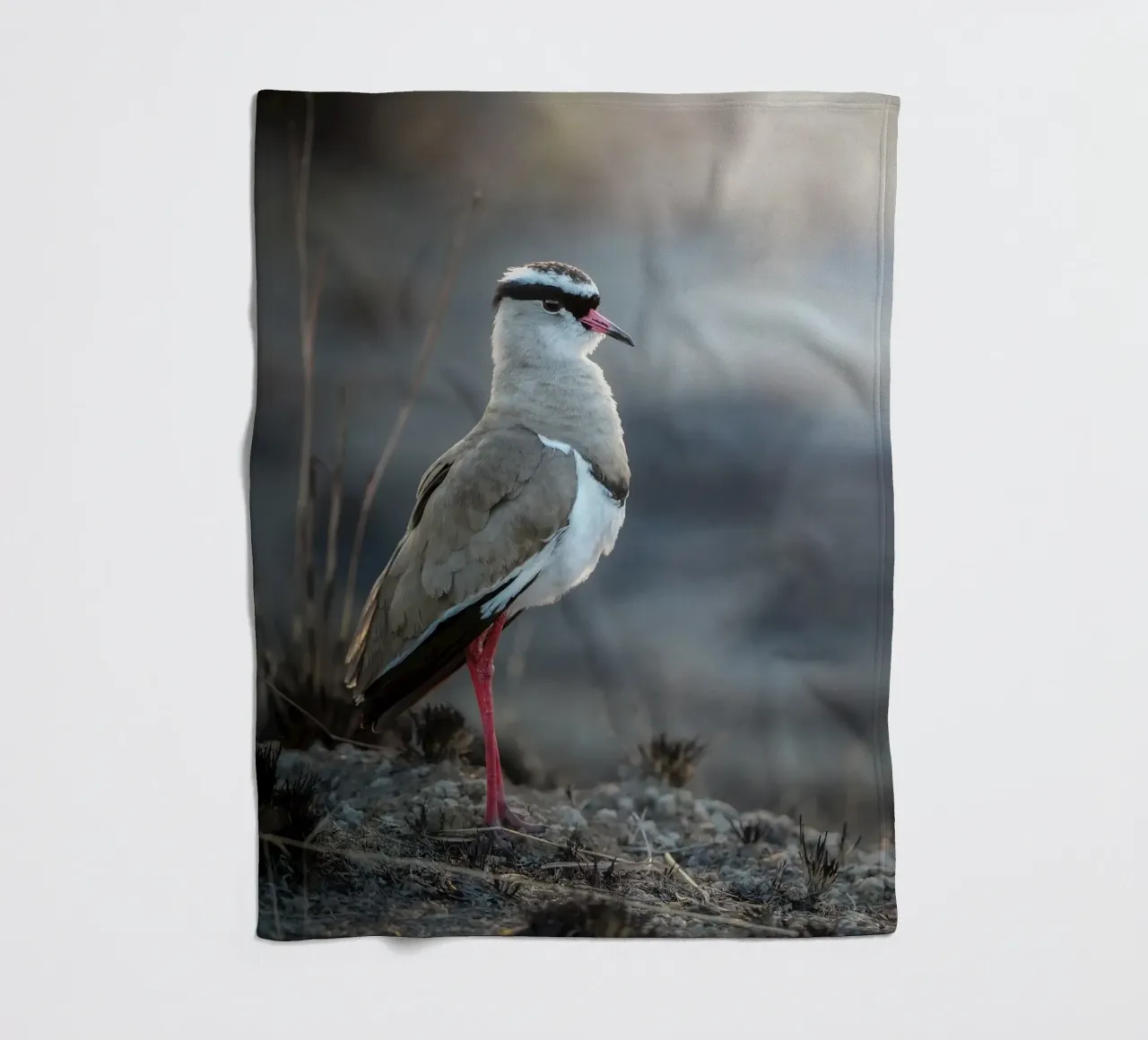 Kievit coperta in pile da Tom's Wildlife