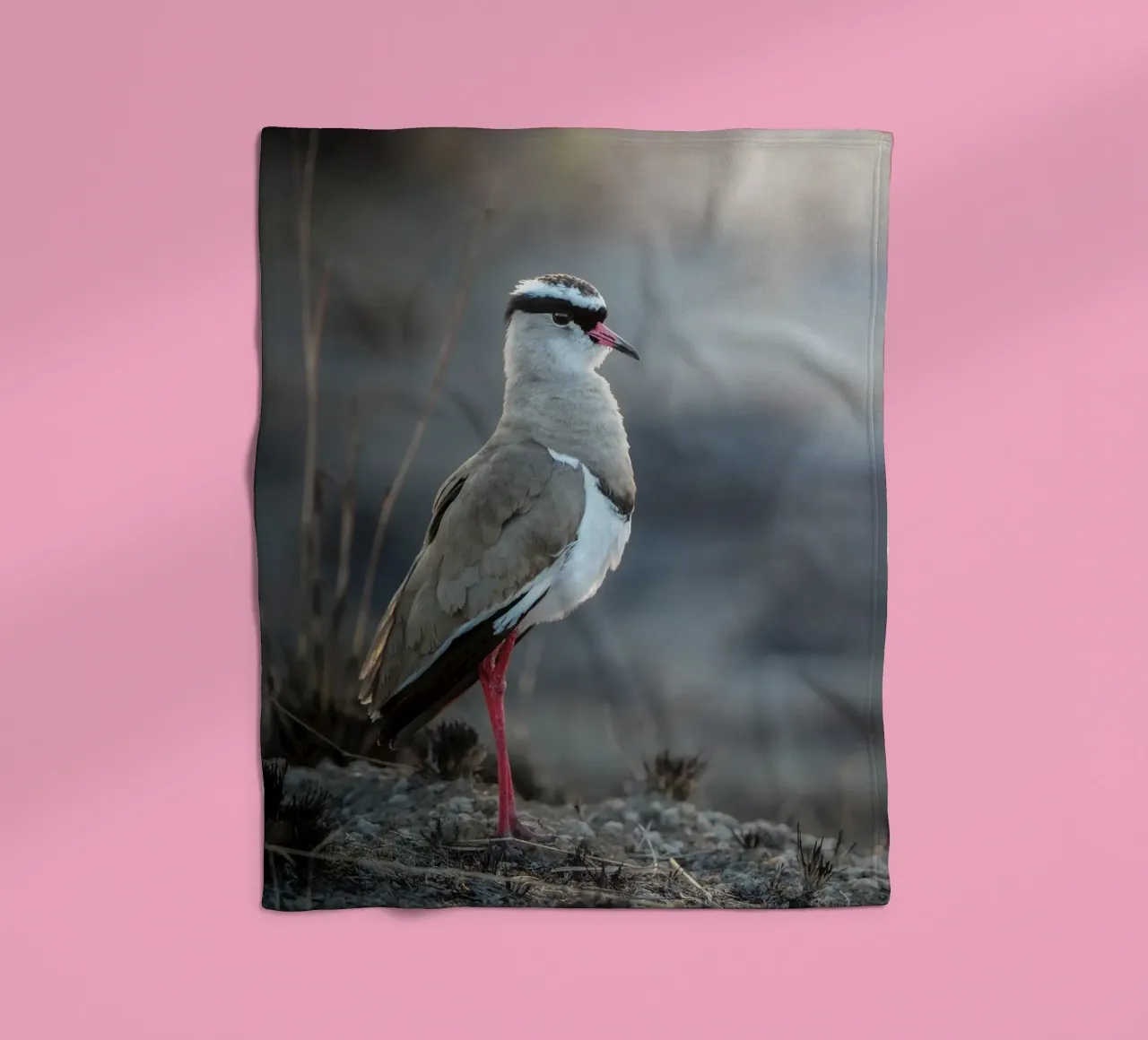 Kievit coperta in pile da Tom's Wildlife