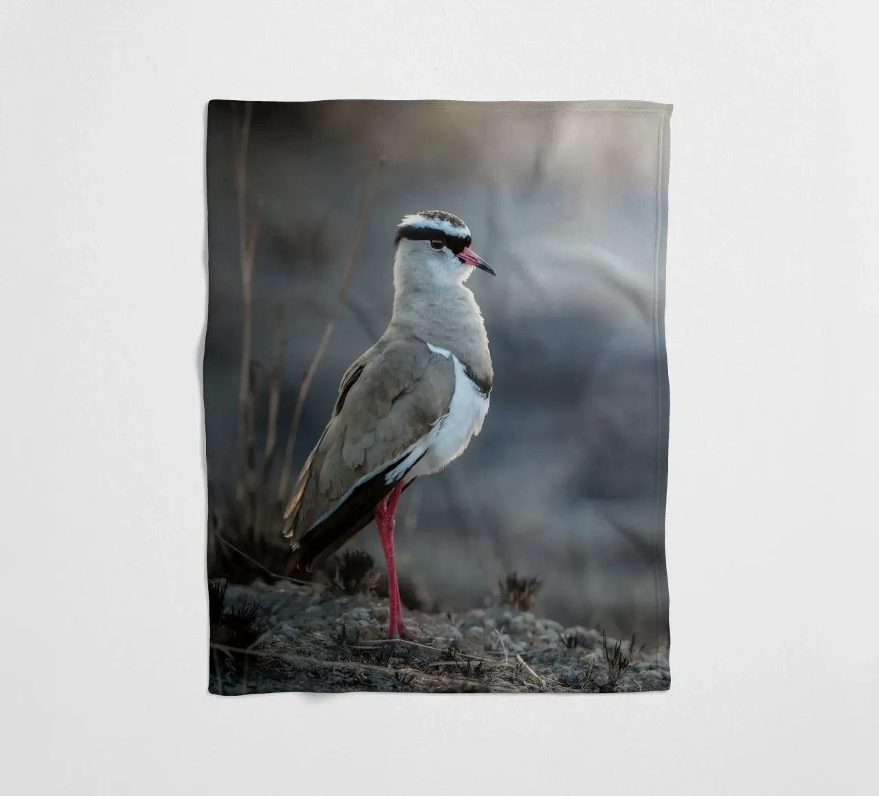 Kievit coperta in pile da Tom's Wildlife