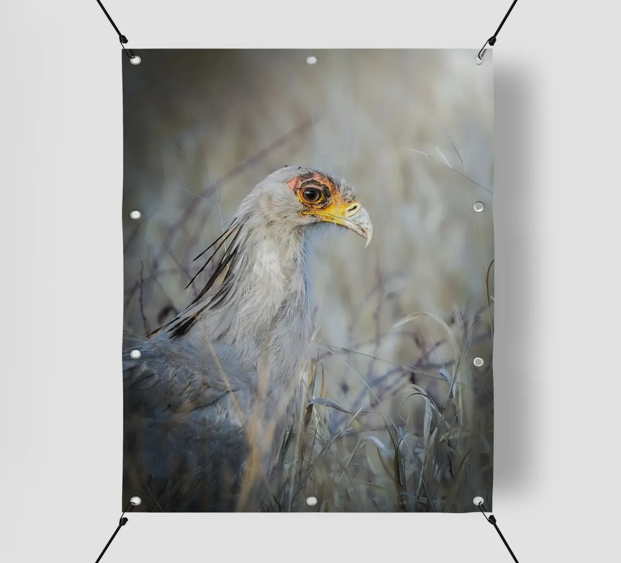 Segretaria telo in pvc da Tom's Wildlife