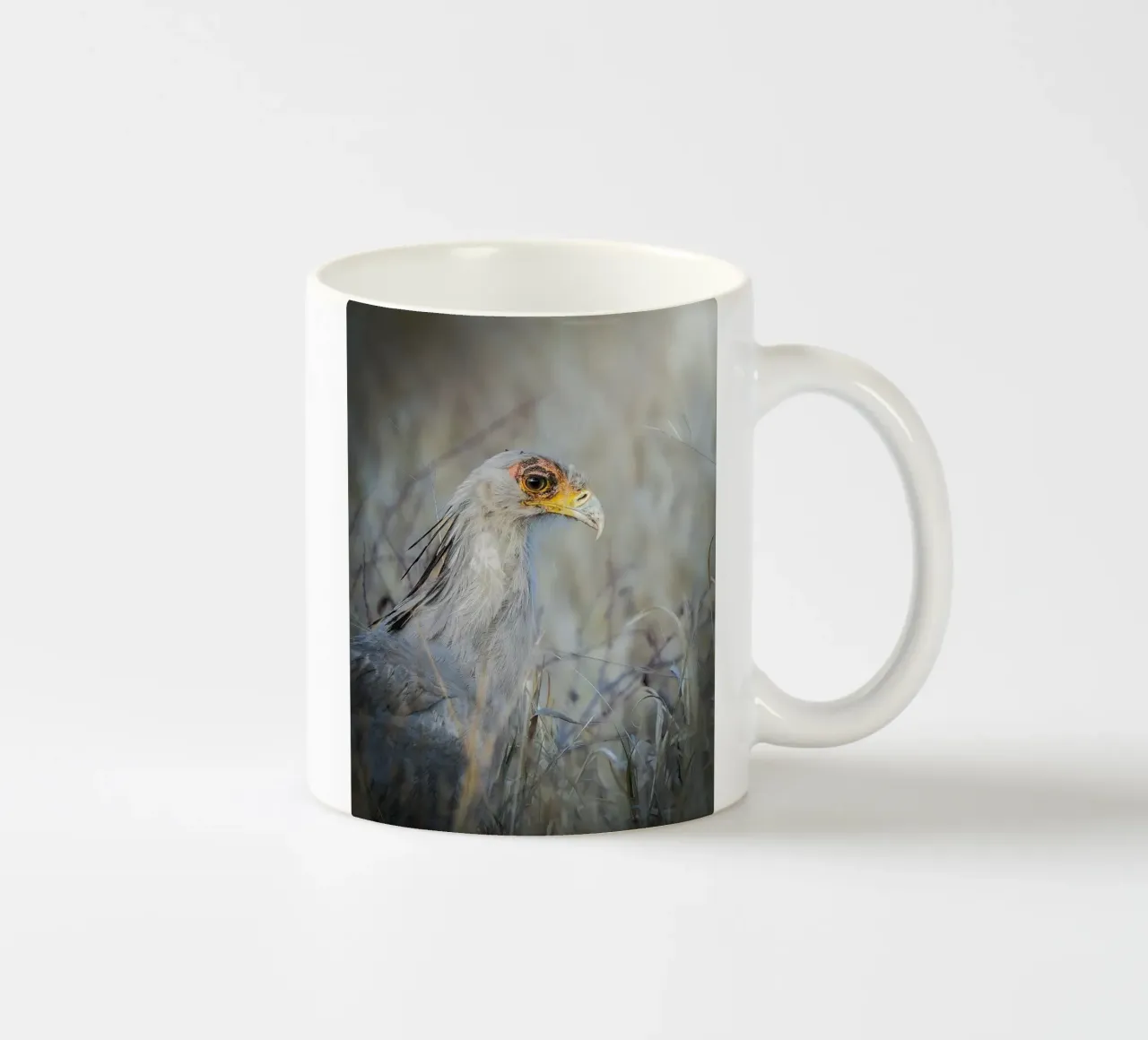 Segretaria tazza in ceramica da Tom's Wildlife