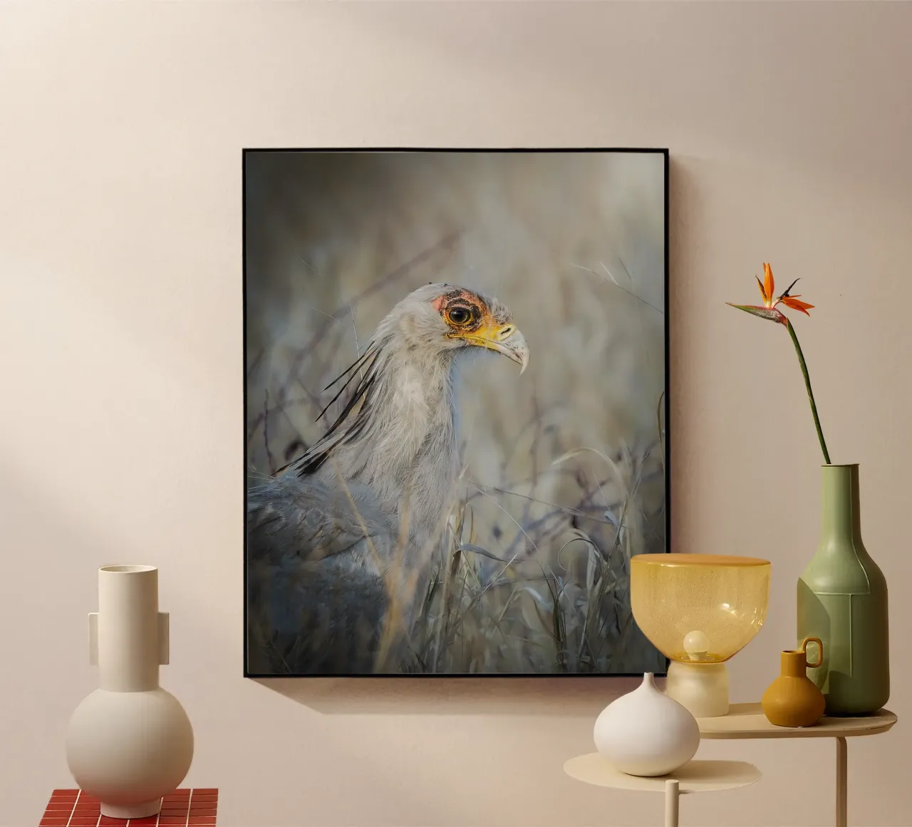 Secretarybird plexiglass da Tom's Wildlife