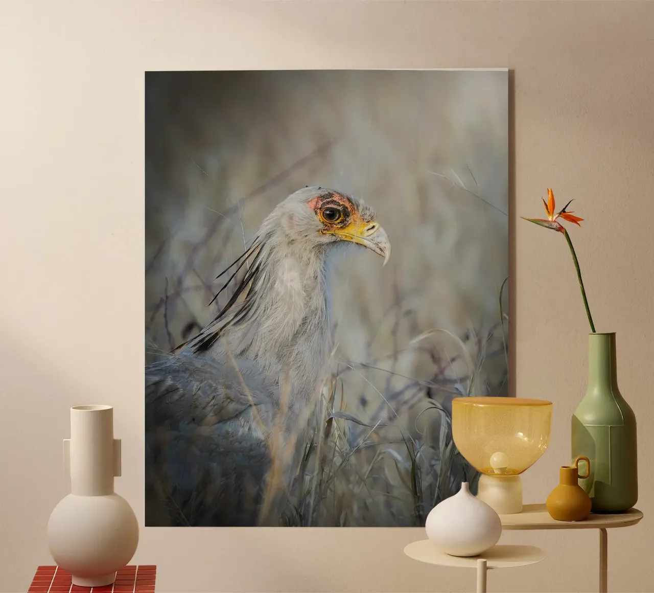 Secretarybird acrylic glass by Tom's Wildlife