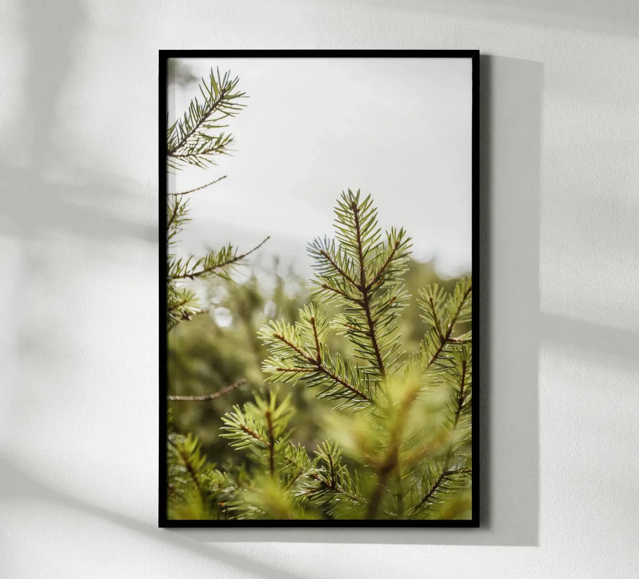 Bosco silenzioso carta hahnemühle da PhotoVibe Decor