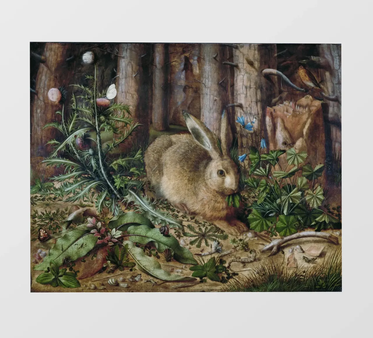 A Hare in the Forest telo in pvc da vintageshop