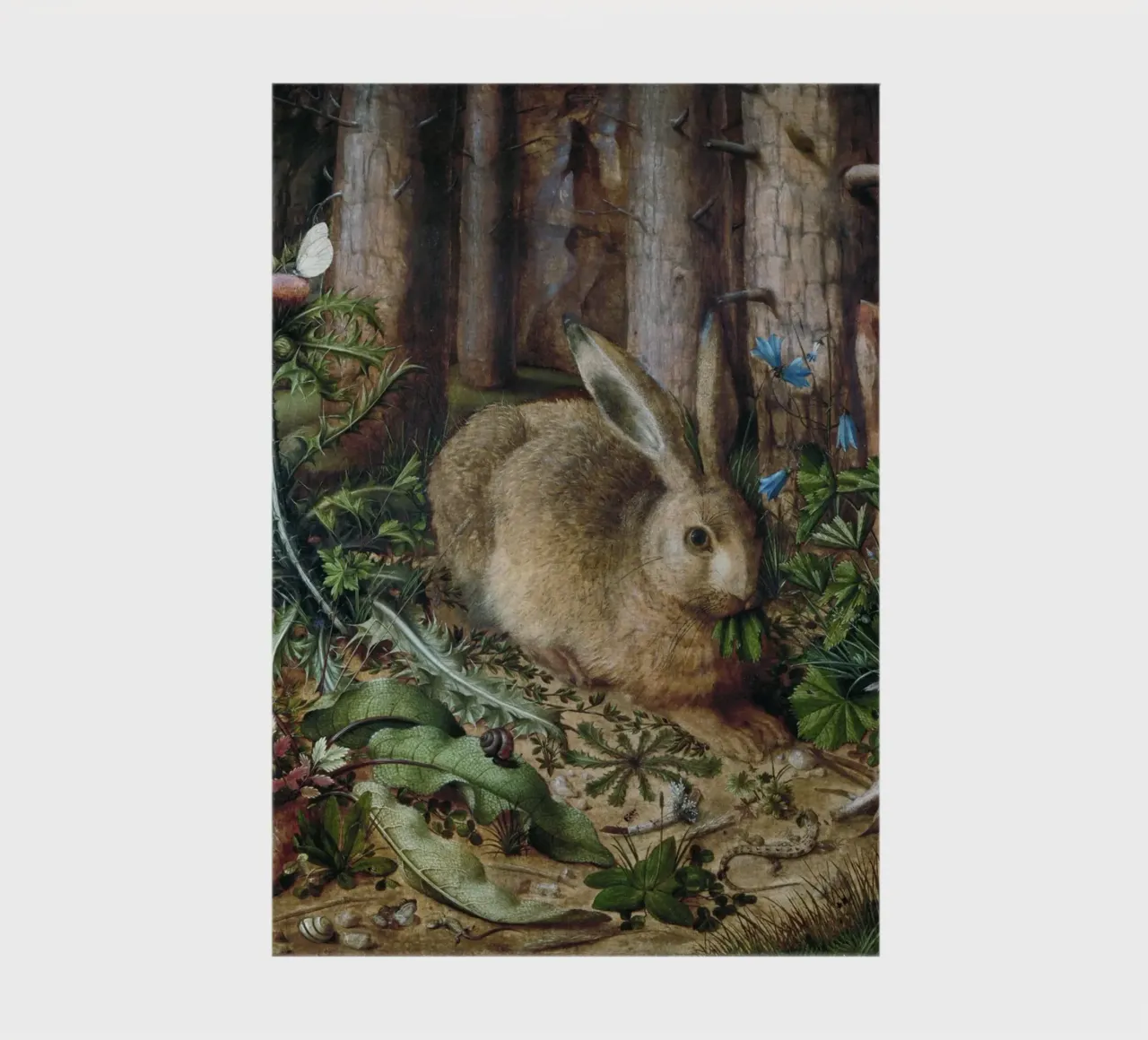 A Hare in the Forest diario da vintageshop