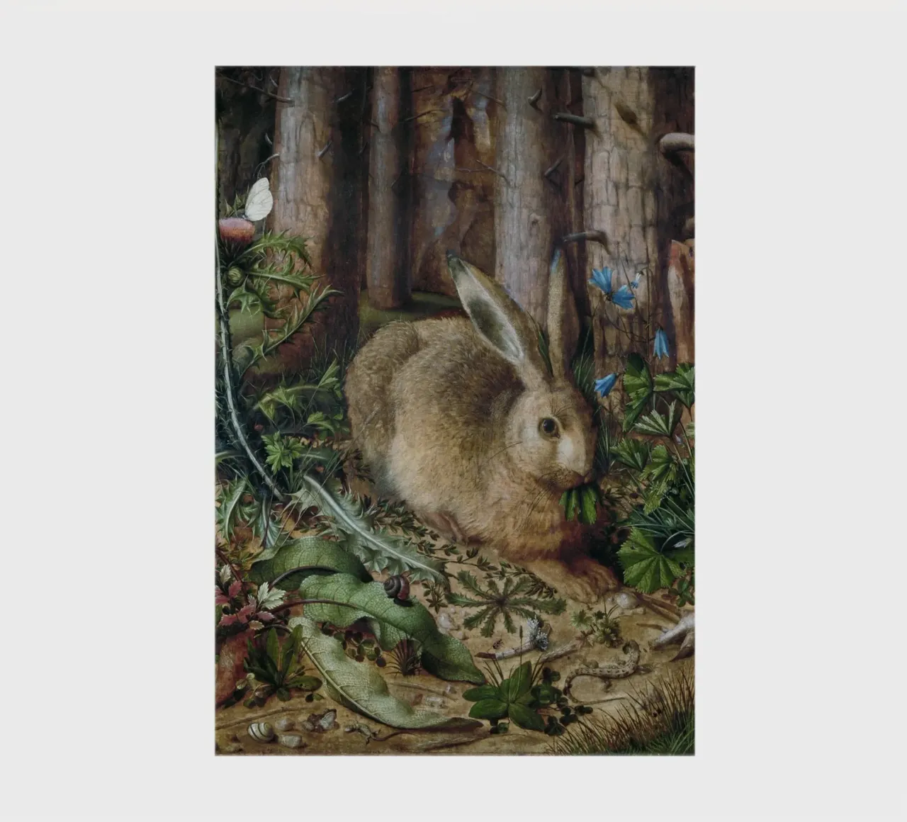 A Hare in the Forest diario da vintageshop
