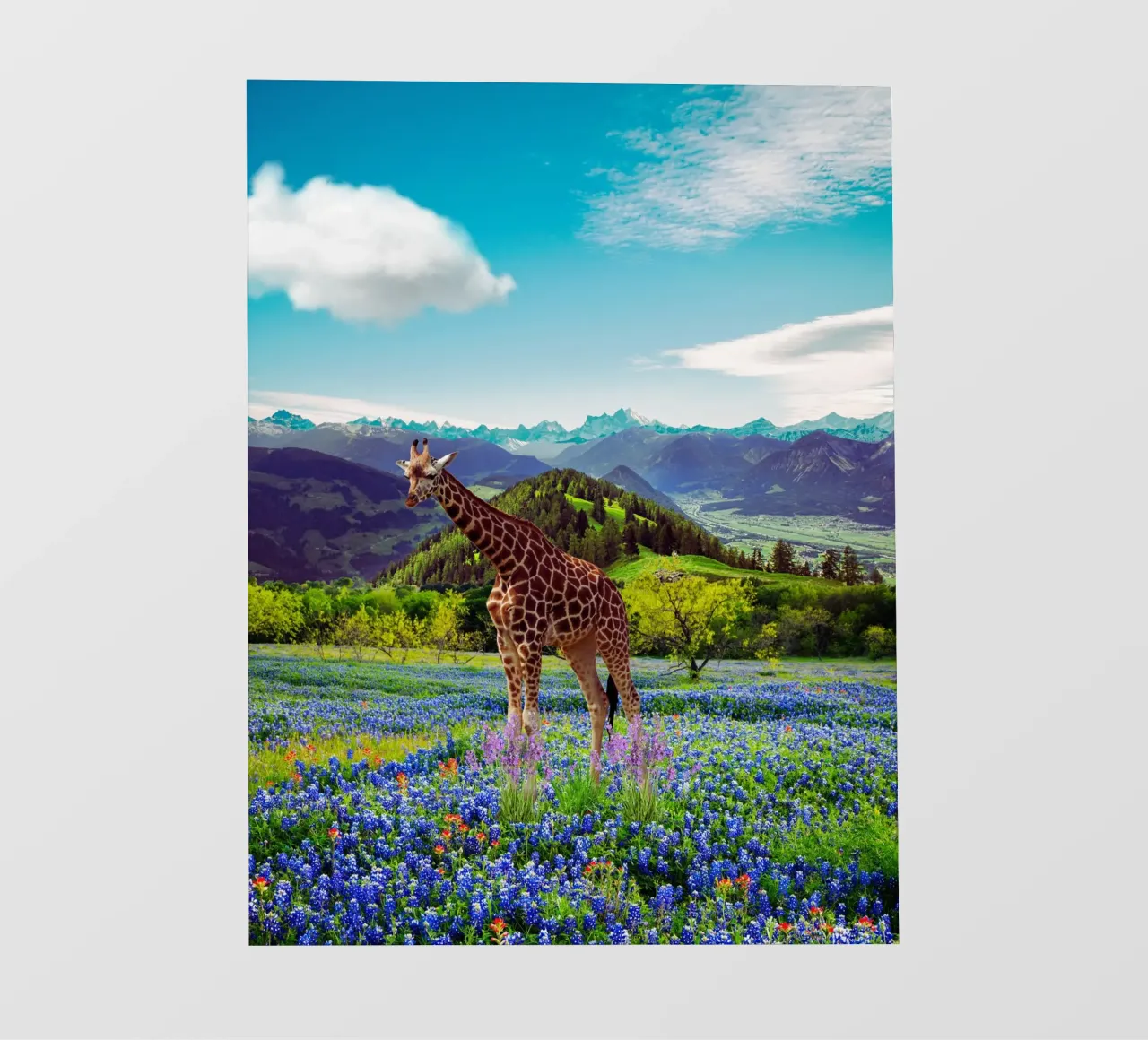 Giraffe in a field of flowers photo wallpaper by Berwies Artwork