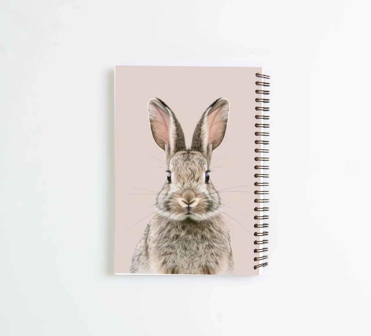 Flauschiges Kaninchen mit ausdrucksstarken Augen vor neutraler Kulisse Ringbuch von DesignDoodle
