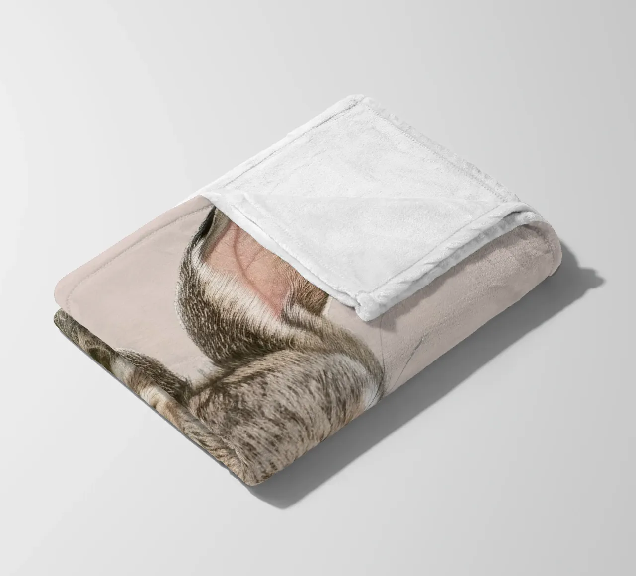 Fluffy rabbit with expressive eyes against a neutral art fleece blanket by DesignDoodle