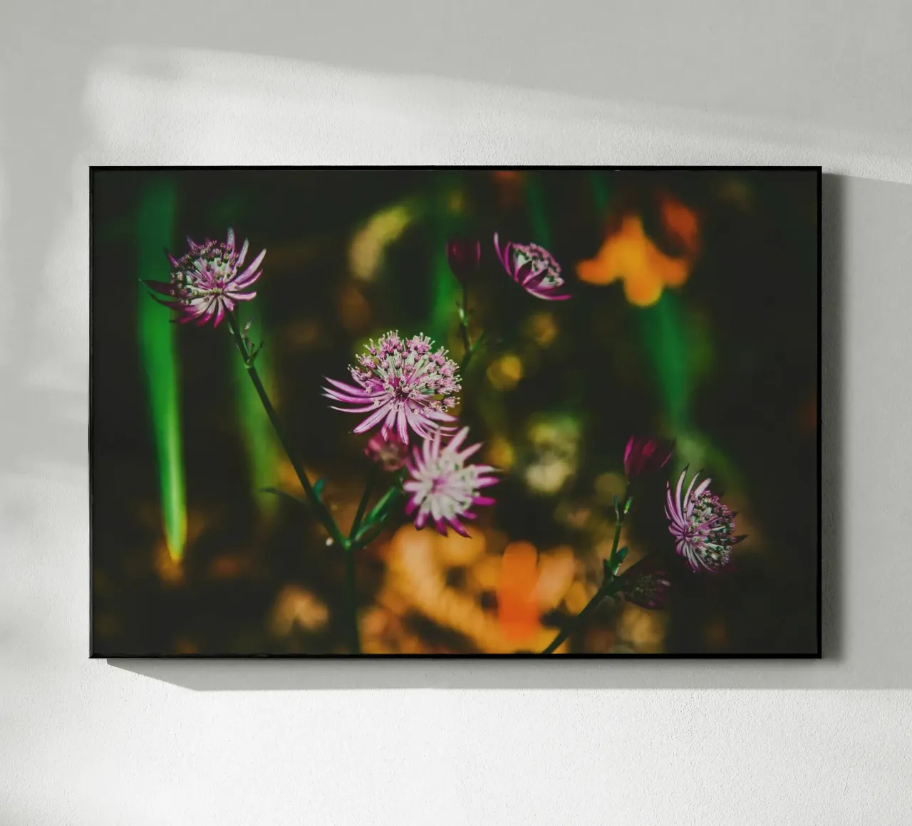 Poesia in fiore selvaggio plexiglass da PhotoVibe Decor