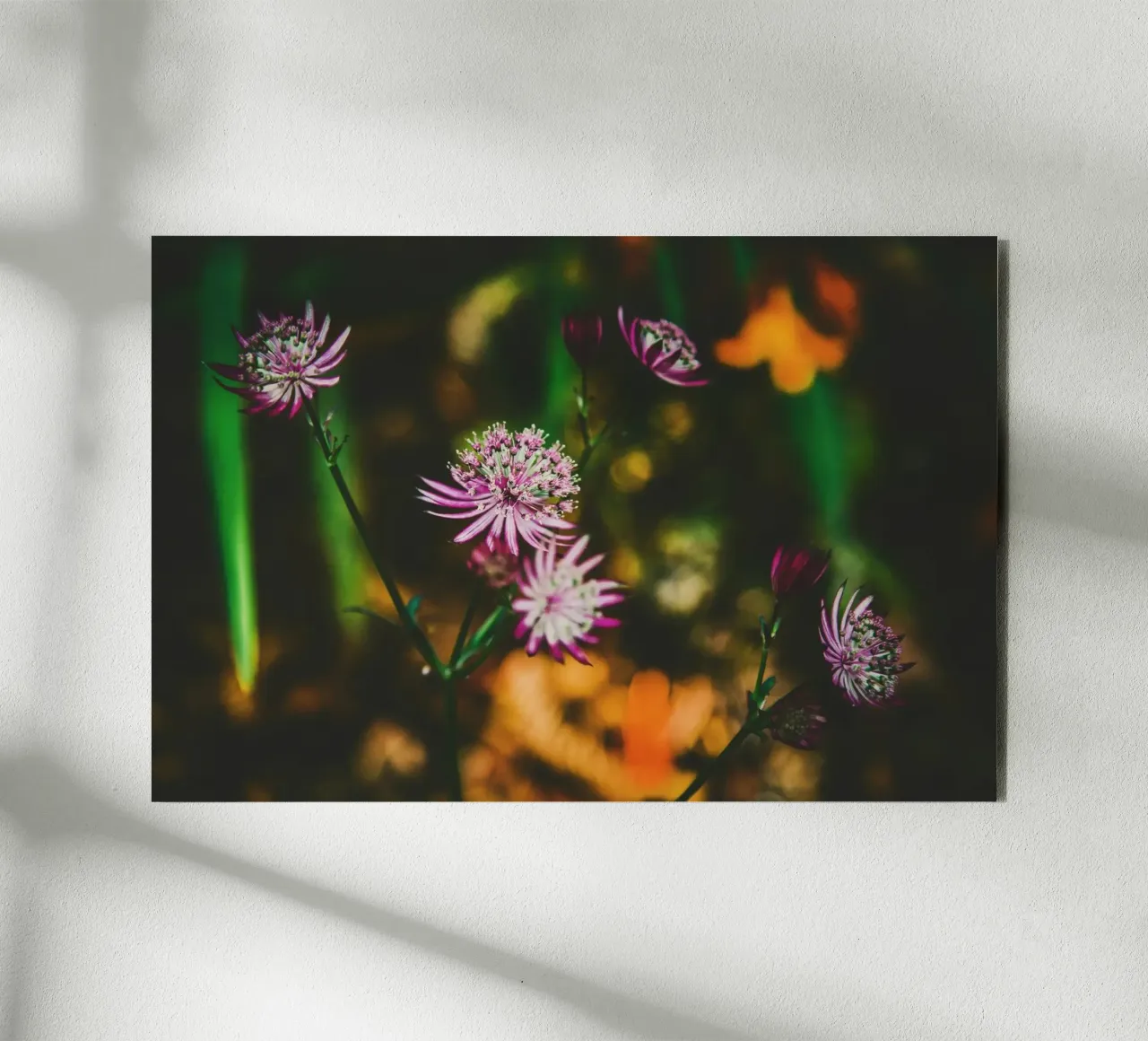 Poesia in fiore selvaggio alluminio dibond da PhotoVibe Decor